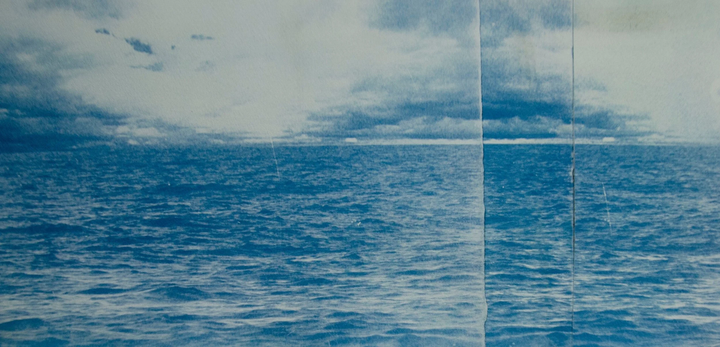 Cassie Thring The Where , inkjet print on paper,2.8 m x 12.6 m, 2017