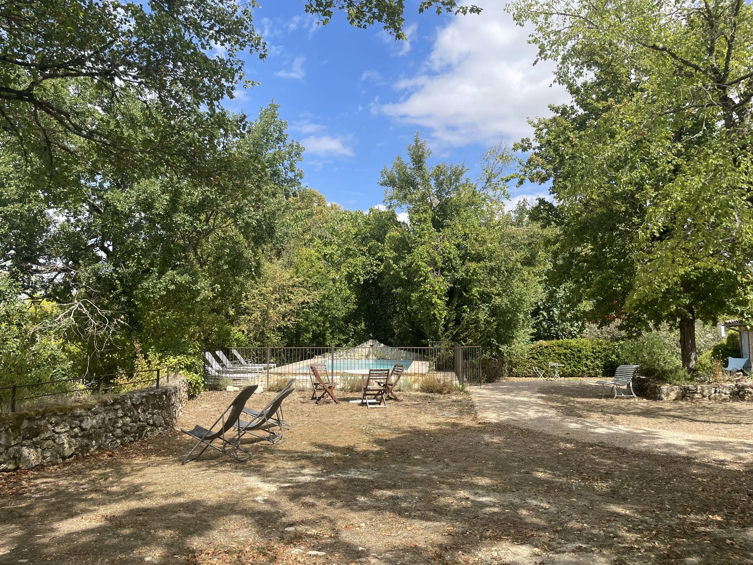 IMG_2171.jpeg