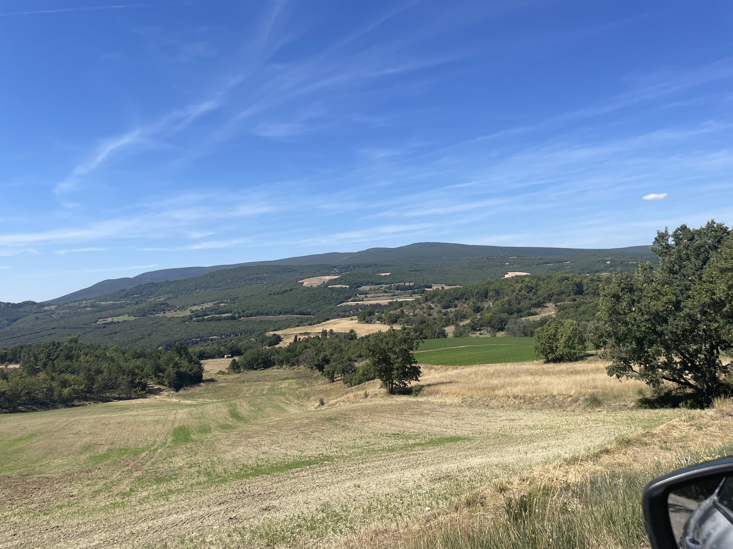 IMG_2394.jpeg