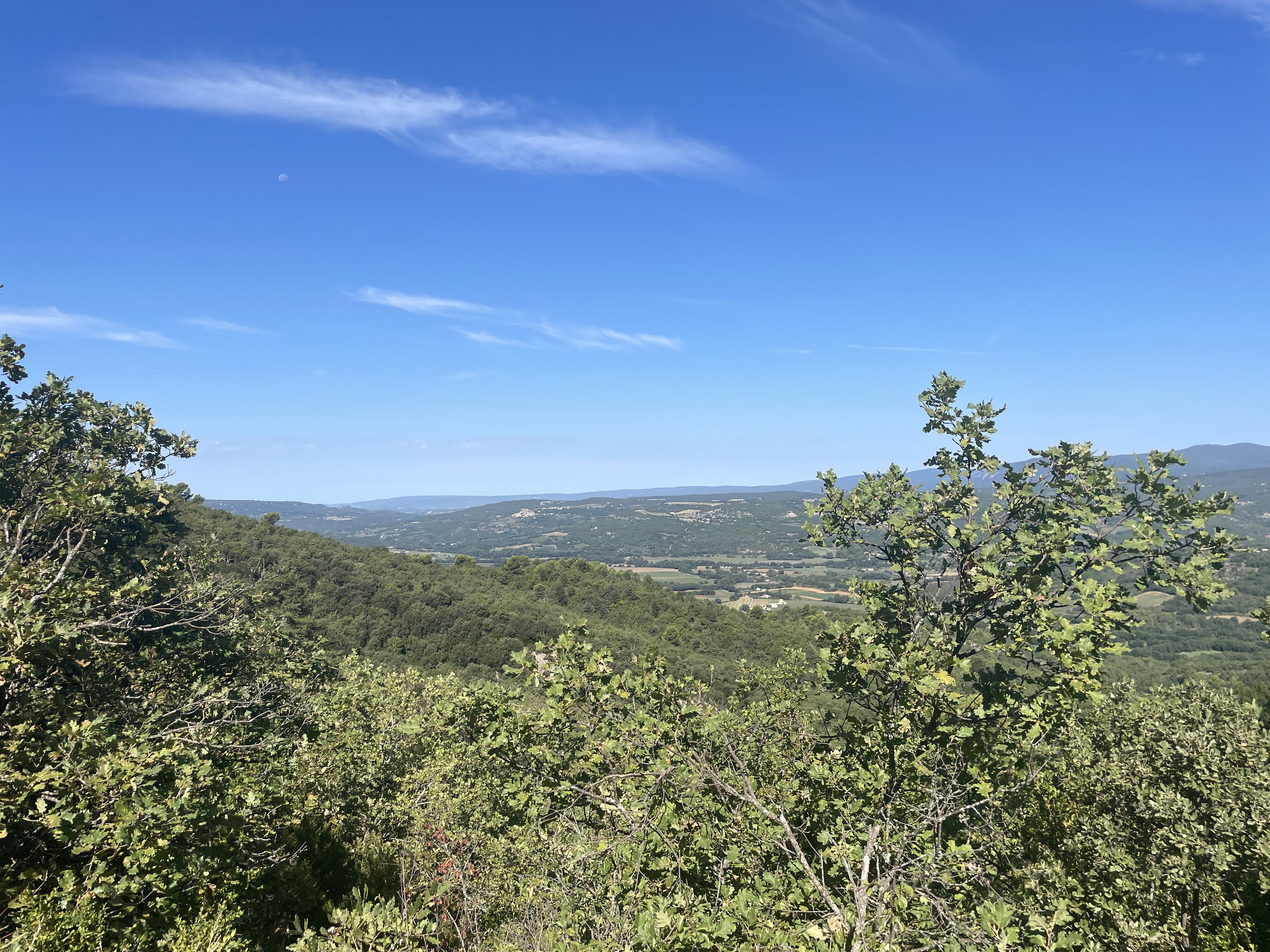 IMG_2367.jpeg
