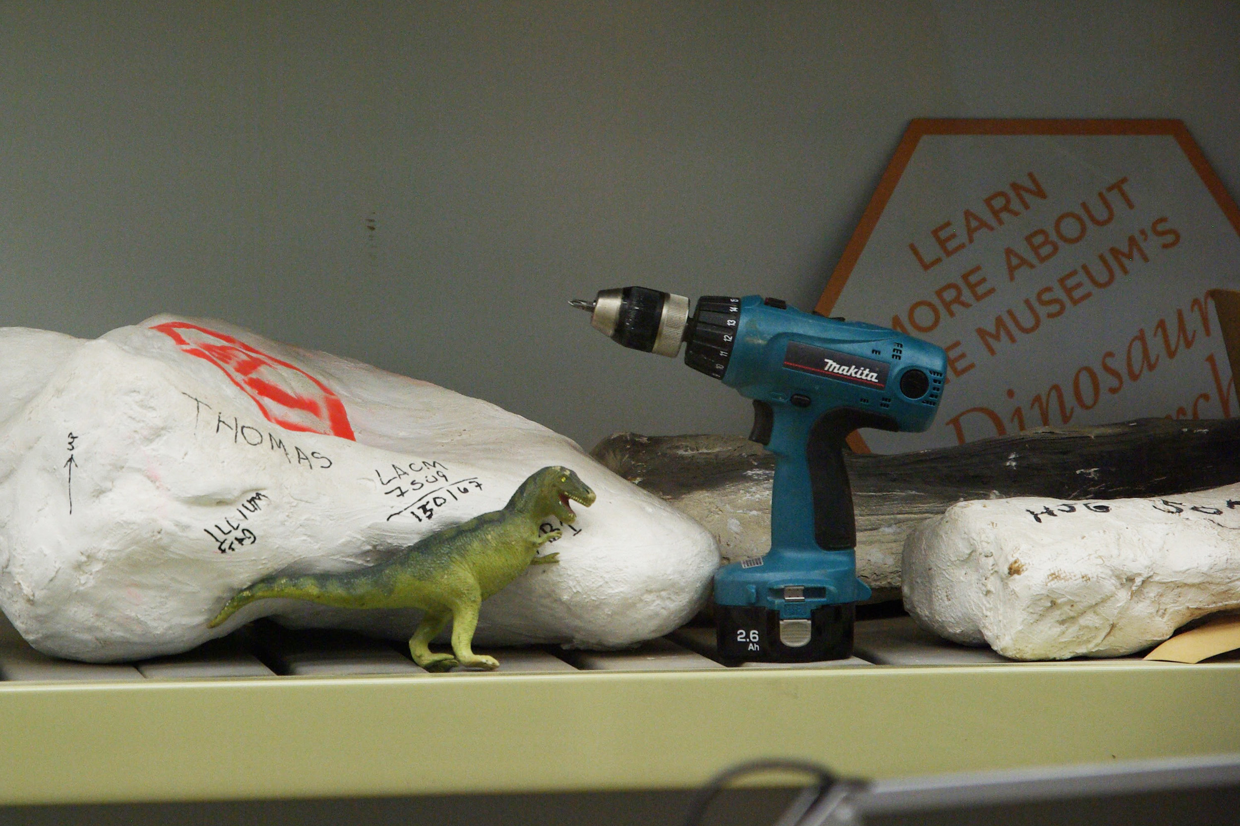 To recap: digital cameras are just tools. Embrace extinction.