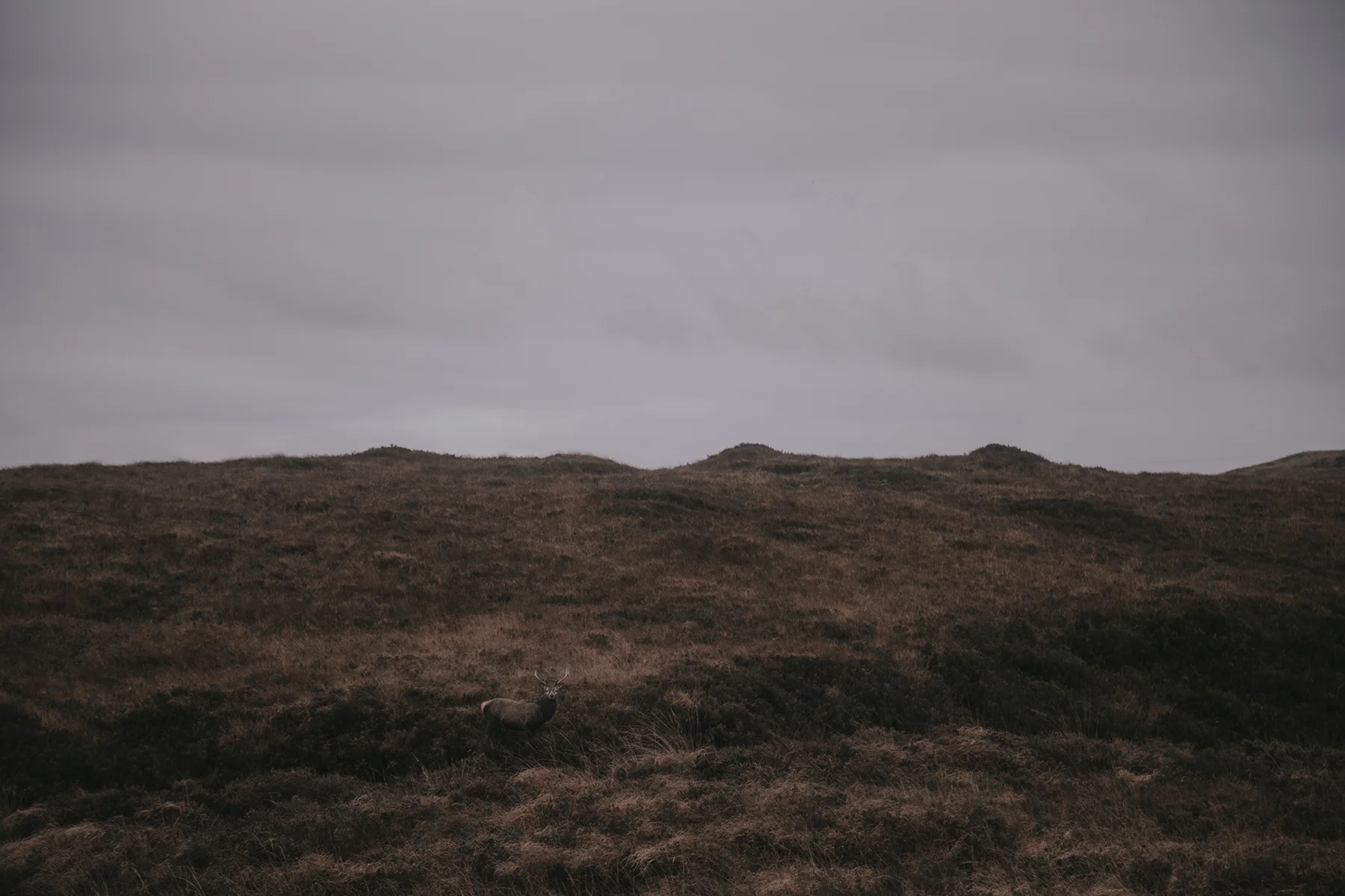 scotland-north-coast-500-katherine-heath-4.jpg