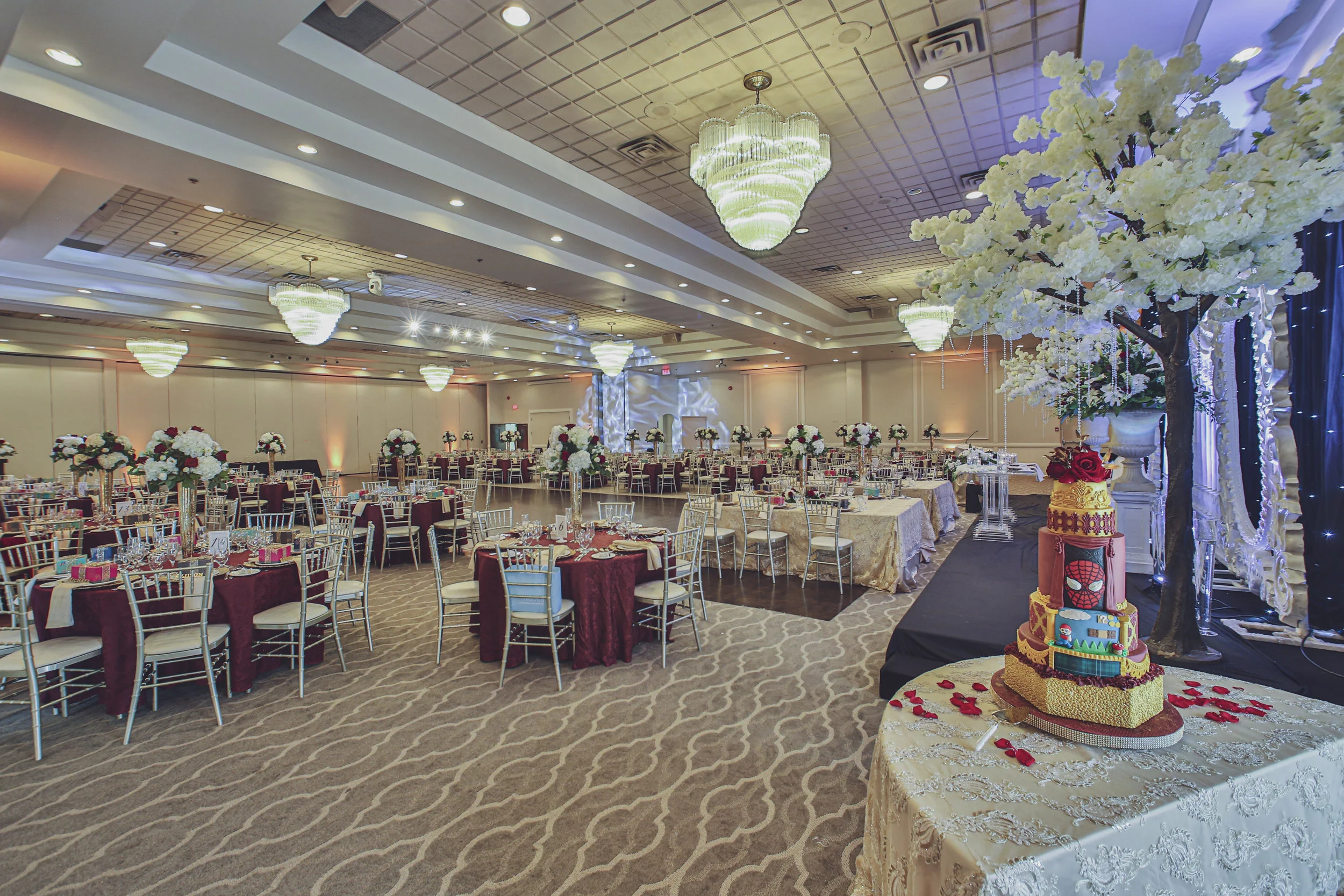 Magic_Vision-Mississauga_Grand-2019-05-18_009.jpg