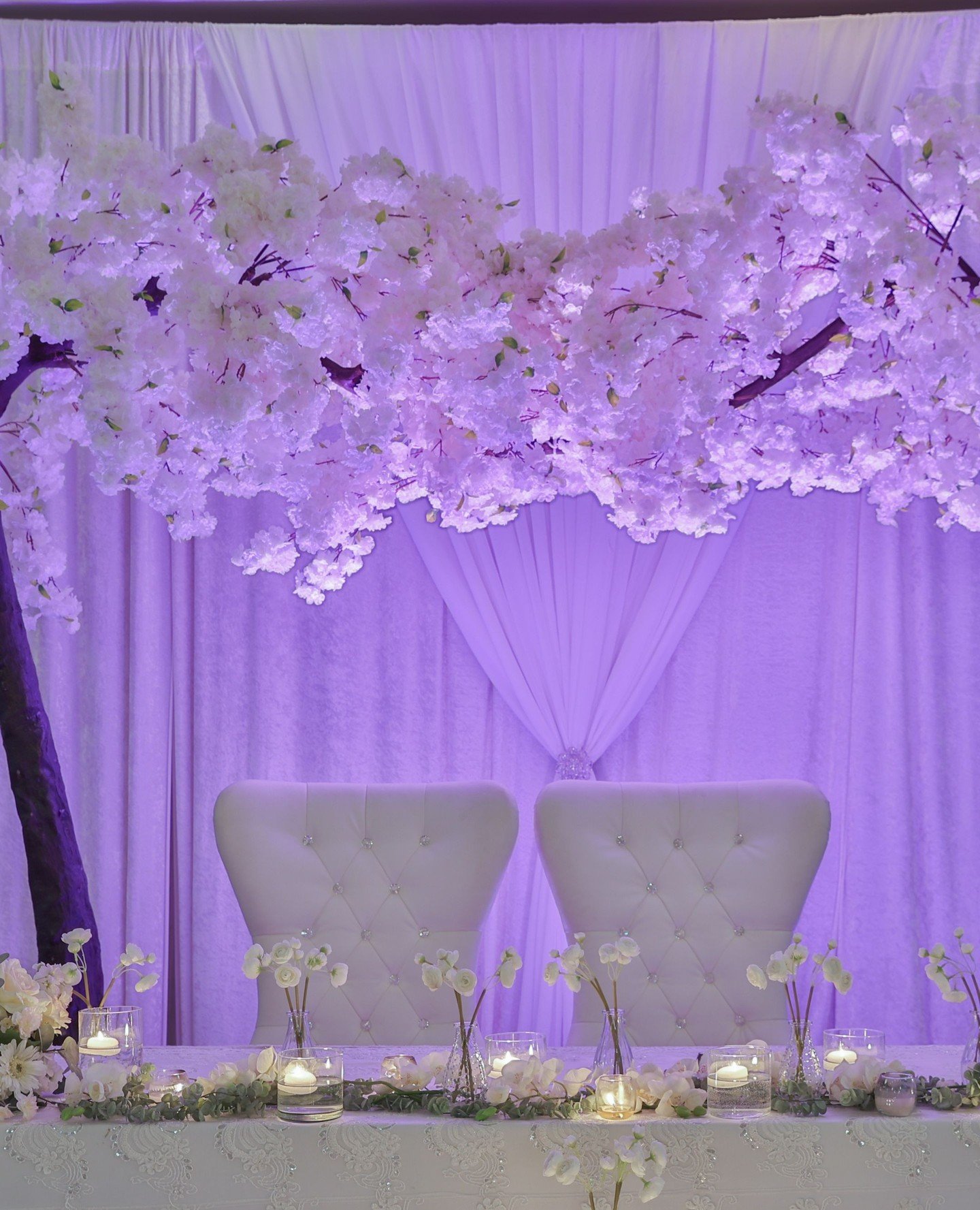 &ldquo;They say love is the best investment; the more you give, the more you get in return.&rdquo; &mdash; Audrey Hepburn⁠
⁠
⁠
.⁠
.⁠
.⁠
.⁠
.⁠
⁠
#bride #weddingday #weddinginspiration #bridetobe #weddingideas #instawedding #weddings #weddingplanning #