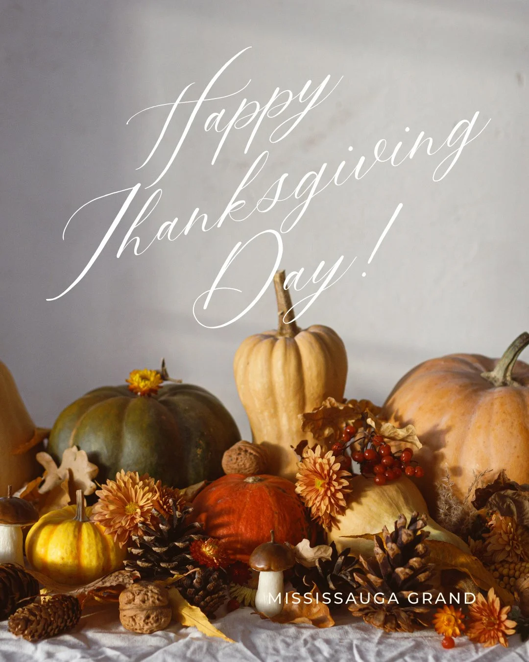 🦃🍁 Happy Thanksgiving from all of us at Mississauga Grand! 🍁🦃⁠
⁠
Wishing you a day filled with gratitude, good food, and cherished moments with loved ones. We&rsquo;re so thankful to be part of your celebrations and can&rsquo;t wait to help make 