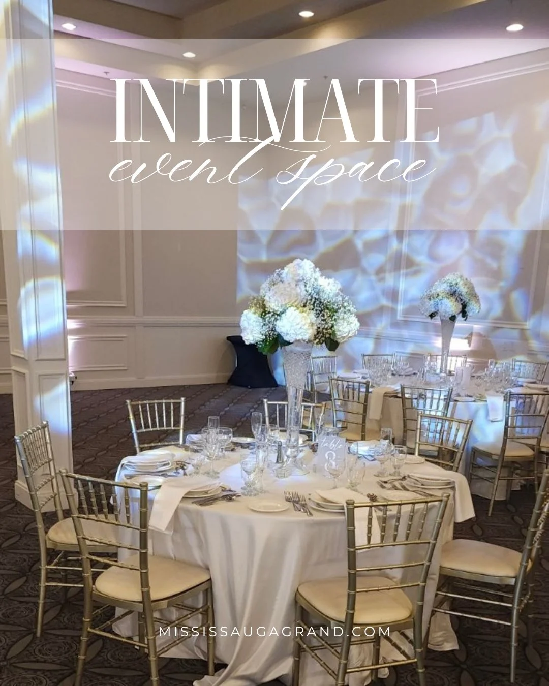 Planning a smaller gathering? One of our ballrooms can be reserved for weddings, baptisms, bridal showers, communion celebrations, or corporate meetings with 90&ndash;100 guests.⁠
⁠
⁠
⁠
⁠
⁠
#EventVenue #CorporateEvents #MississaugaGrand #Weddings #Ce
