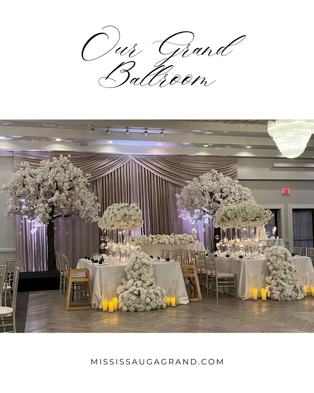 Step inside our elegant Ballroom. ⁠
The space is versatile and can accommodate weddings, corporate events, and celebrations ranging from intimate gatherings of 100 guests to larger events of 500 guests.⁠
⁠
⁠
⁠
⁠
⁠
#EventVenue #MississaugaEvents #Wedd