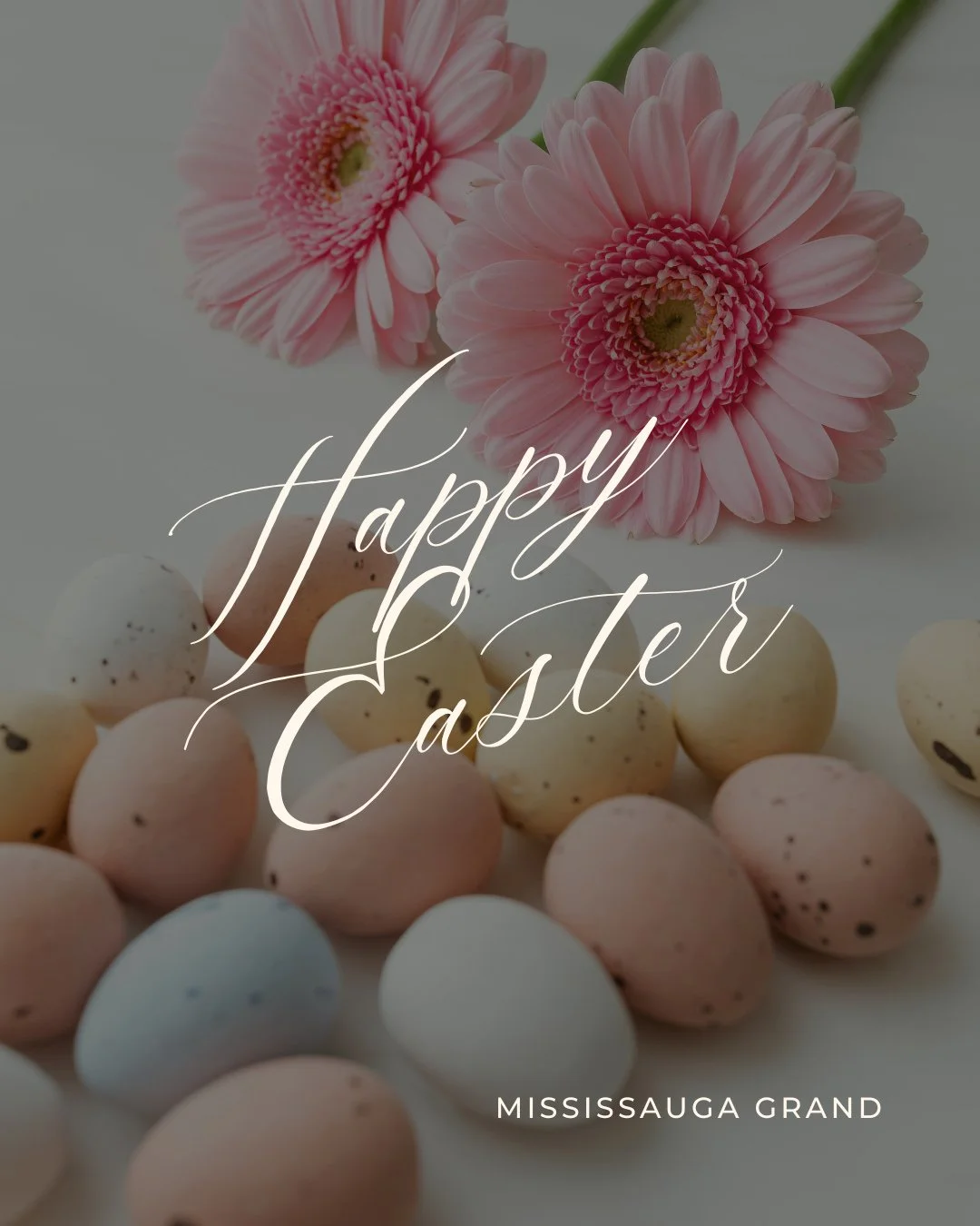 May the miracle of Easter bring you renewed faith, joy, and blessings. Christ is risen!