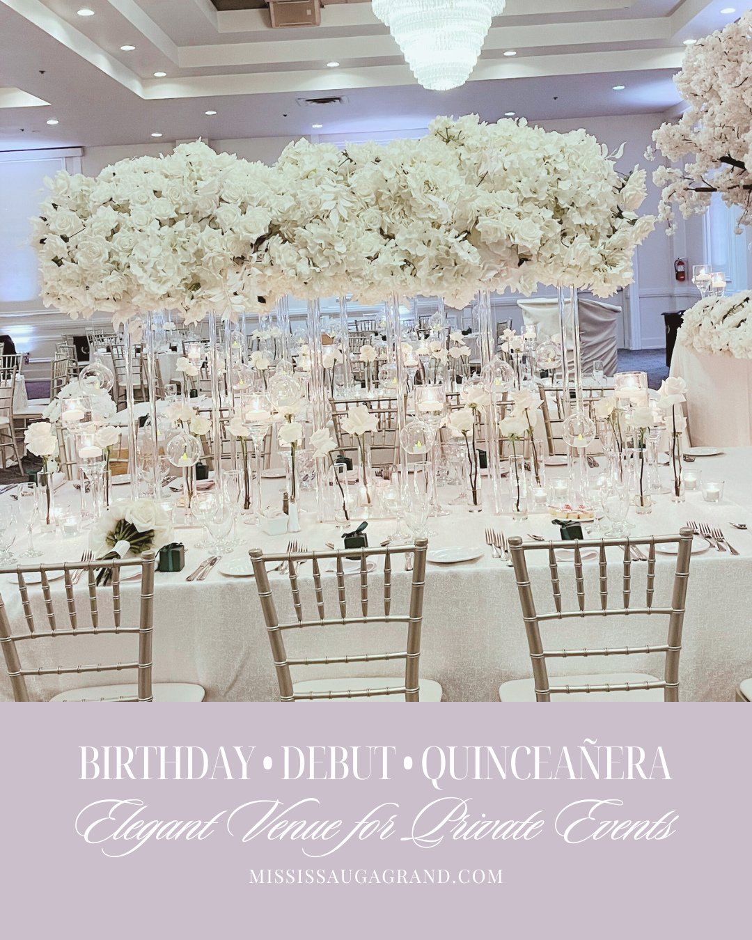 Celebrate birthdays, debuts, and quincea&ntilde;eras at Mississauga Grand.⁠
A modern banquet venue designed for private celebrations in Mississauga.⁠
Check availability and book your tour today.⁠
⁠
⁠
.⁠
.⁠
.⁠
.⁠
.⁠
.⁠
⁠
#weddingvenues #CorporateEvent
