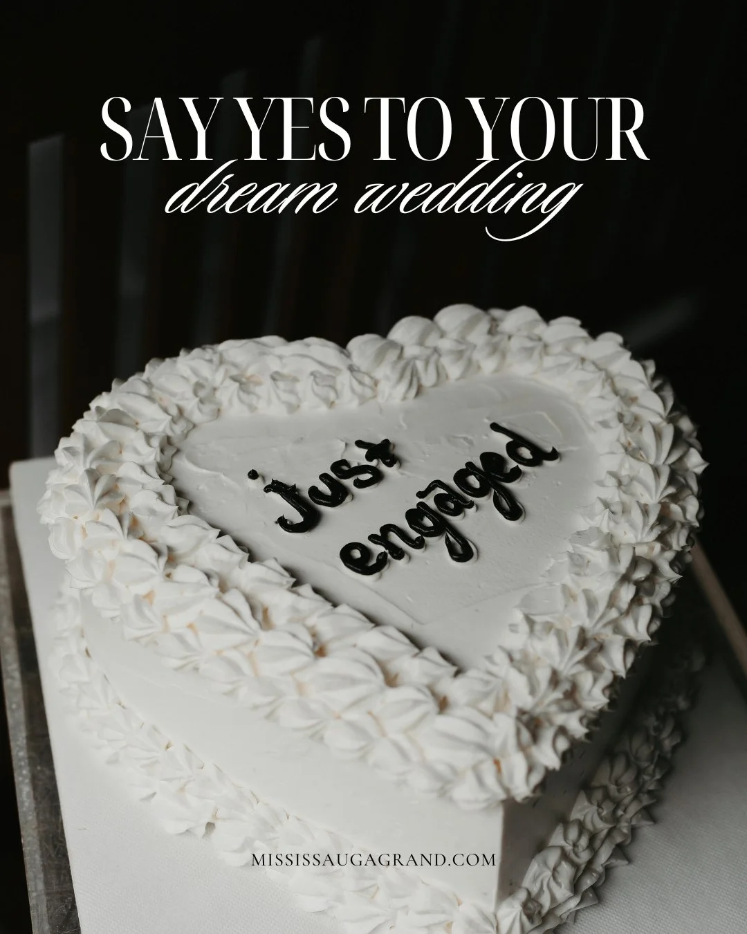 ✨ Your Dream Wedding Starts Here! ✨⁠
⁠
Our wedding packages include everything you need for an unforgettable celebration:⁠
⁠
💍 Ballroom rental fee⁠
💍 Elegant champagne-coloured standard backdrop⁠
💍 Premium upgraded linens for head &amp; cake table