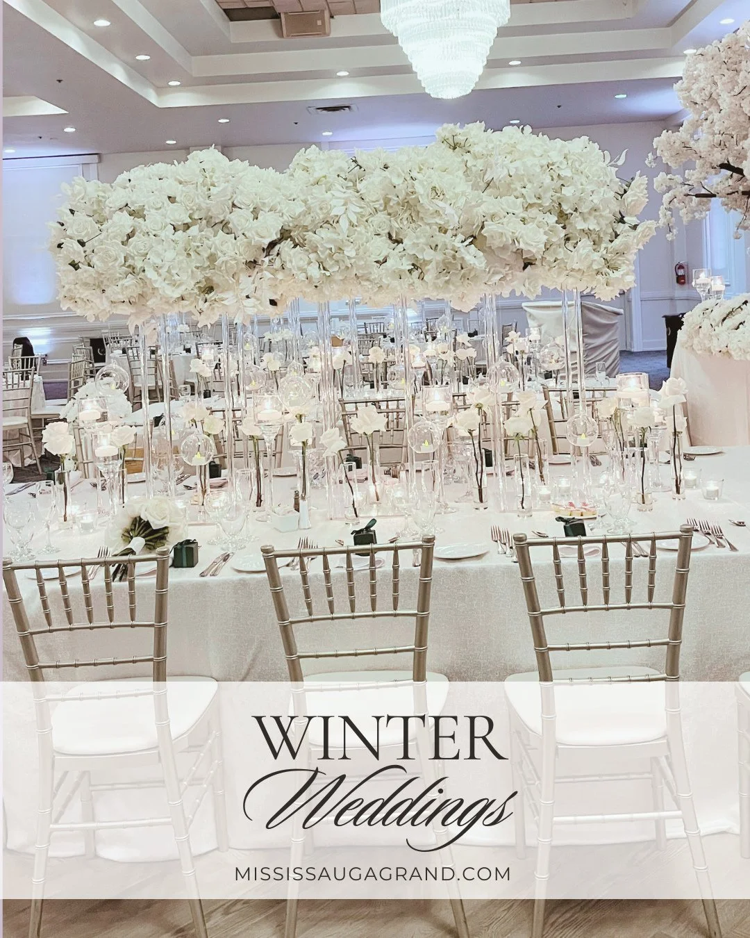 Winter Weddings at The Mississauga Grand⁠
⁠
Exclusive pricing for January through March.⁠
Save an Additional 18%⁠
⁠
Included with your booking:⁠
&bull; Bride &amp; Groom Head Table Sofas⁠
&bull; Complimentary Hotel Room for the Bride &amp; Groom⁠
&bu