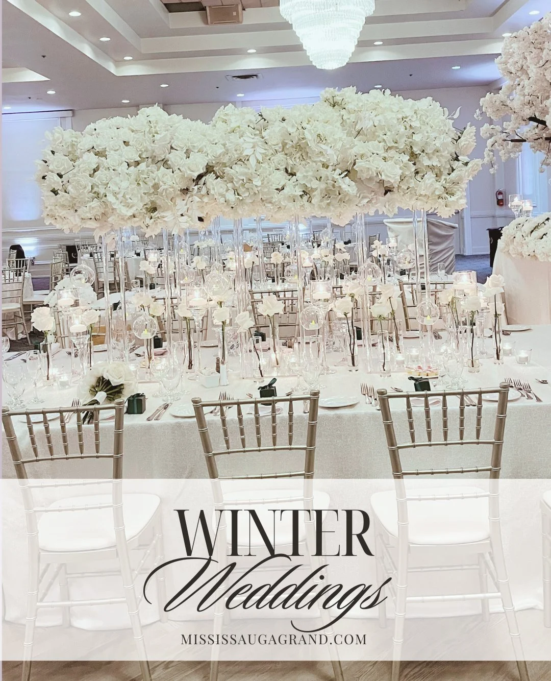 Winter weddings at Mississauga Grand. Discover a beautiful setting for your celebration, with menus and wedding packages to suit your day.⁠
⁠
⁠
.⁠
.⁠
.⁠
.⁠
.⁠
⁠
#weddingday #mississaugavenues #weddingvenue #MississaugaGrand
