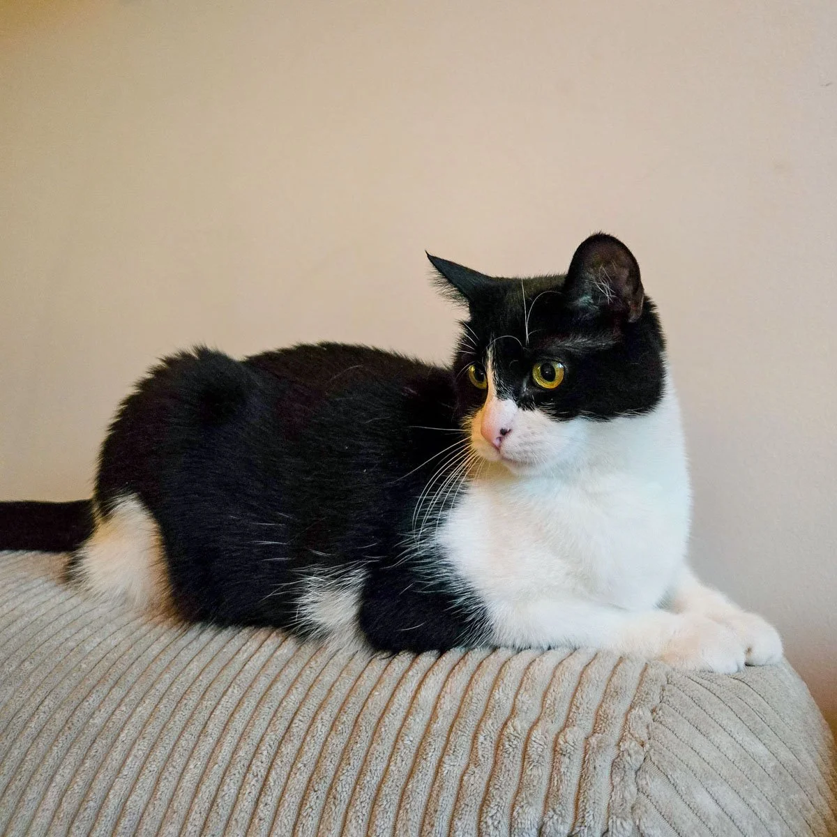 Zoe-260120-P3-LR.jpg