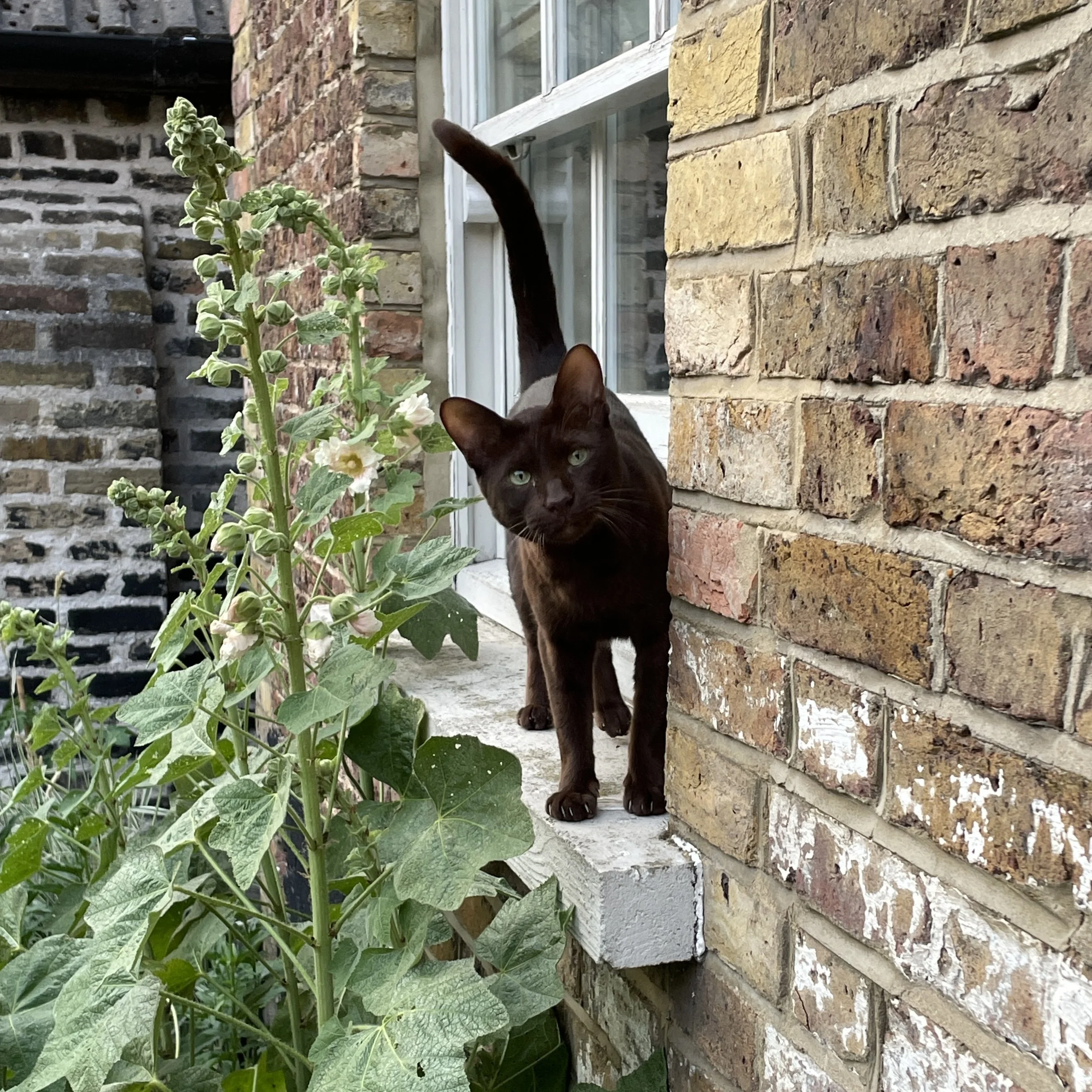 IMG_0505.jpeg