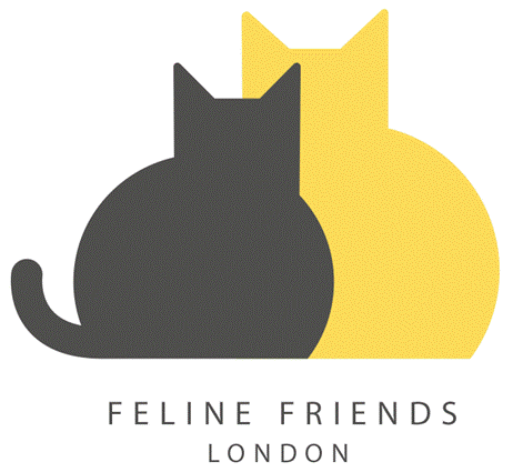 Adopt a cat or foster a cat in London - Feline Friends London