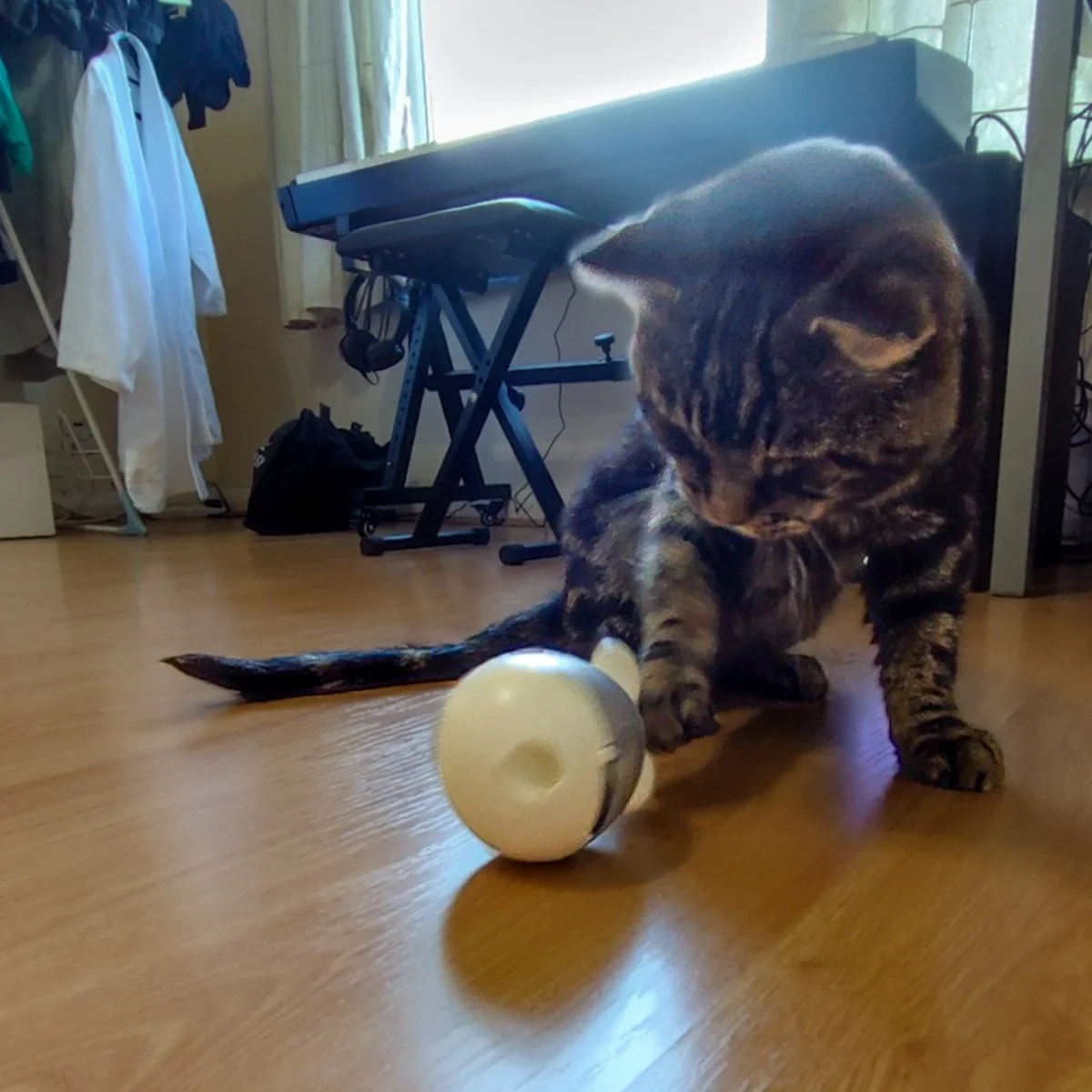 Cheeks-26051903-P01-LR.jpg