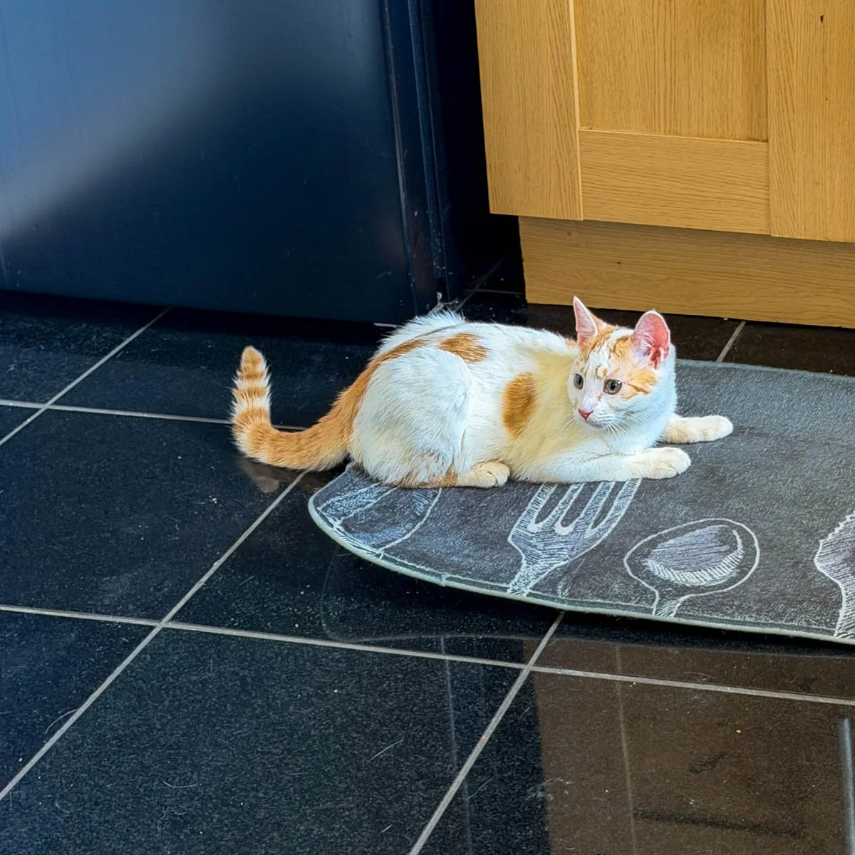Frank-Queenie-260413-P5-LR.jpg