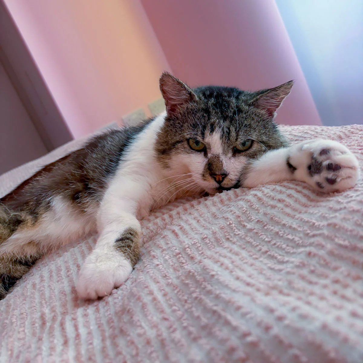 Gustav-26060301-P04-LR.jpg