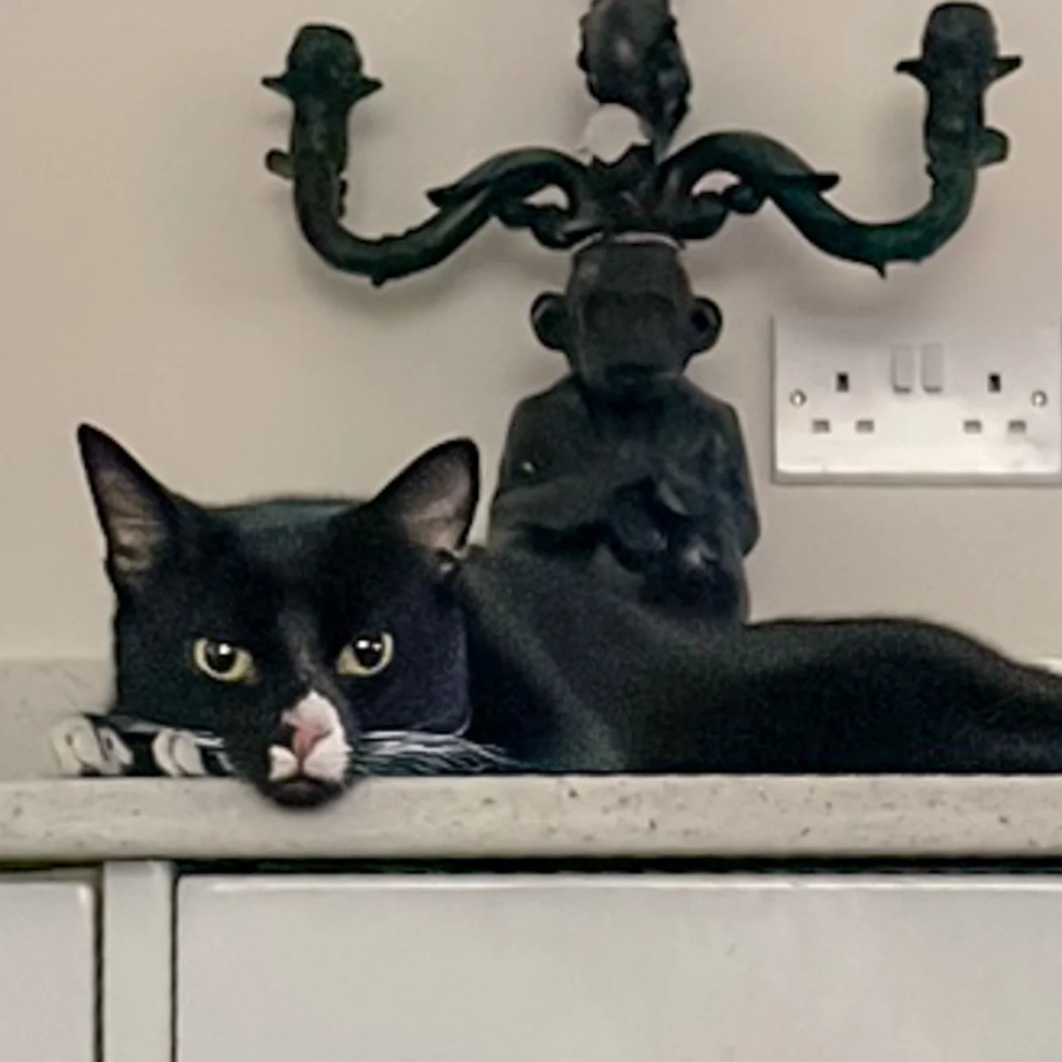Molly-26050802-P05-LR.jpg