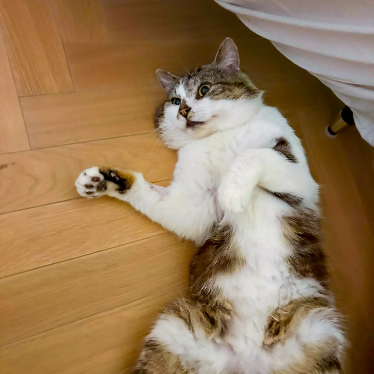 Gustav-26060301-P10-LR.jpg