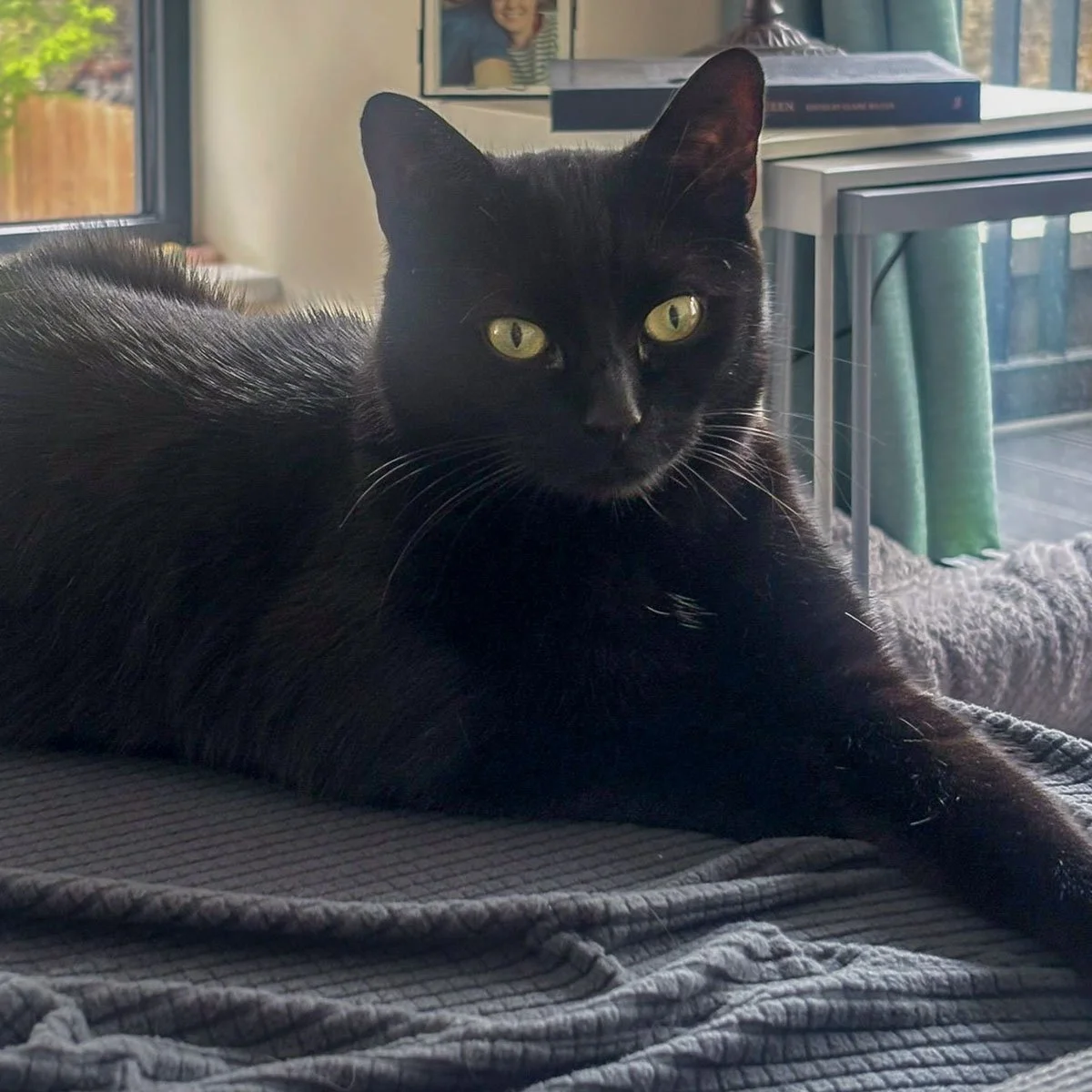 Milo-260205-P7-LR.jpg