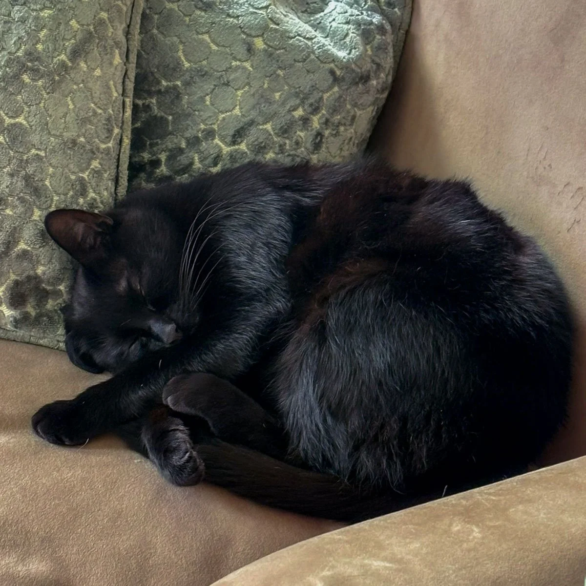Milo-260205-P4-LR.jpg