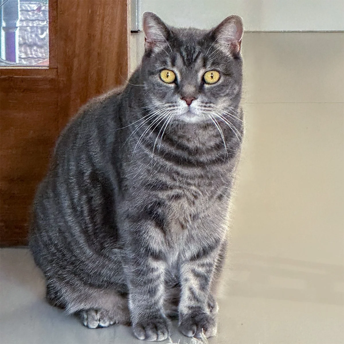 Minnie-2-20250701-PS.jpg