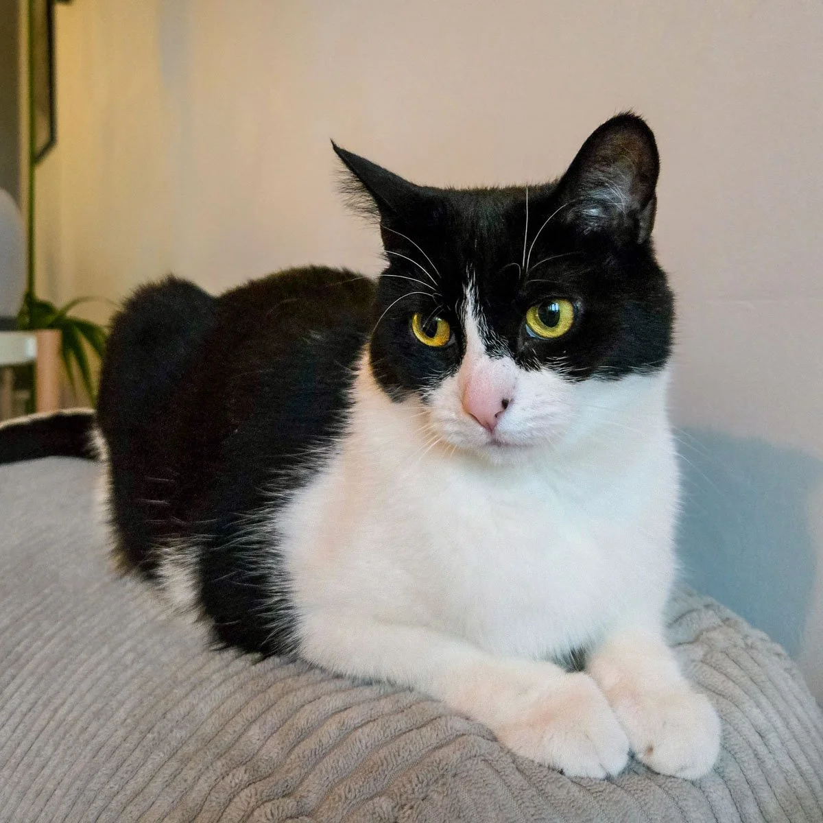 Zoe-260120-P2-LR.jpg