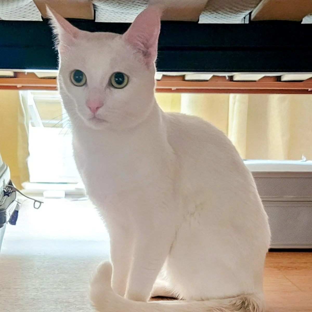 Sugar-251006-1-LR.jpg