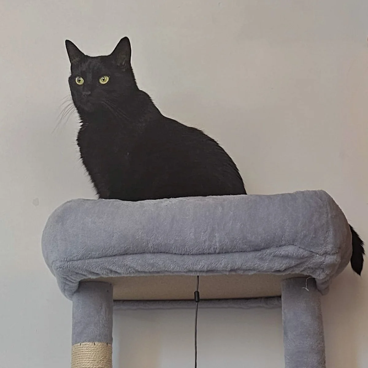 Onyx-26031601-P06-LR.jpg