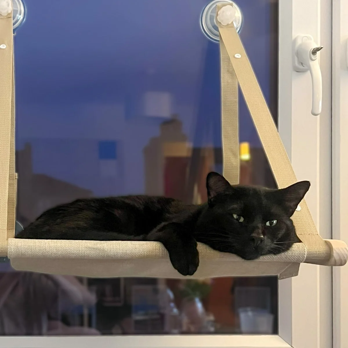 Shadow-260318-P2-LR.jpg