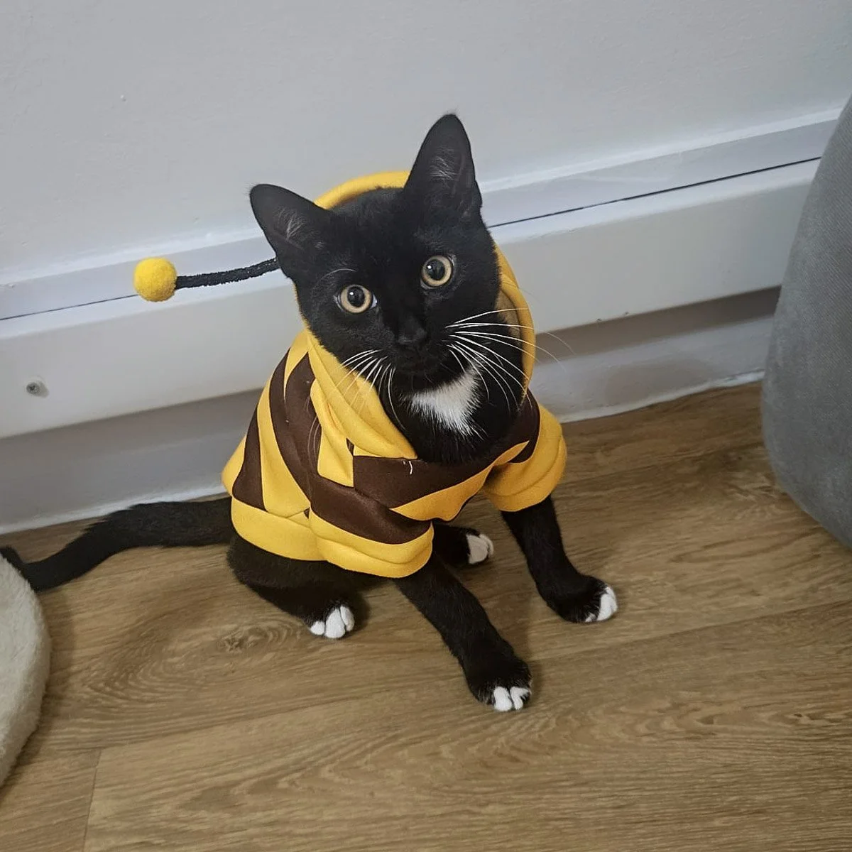 Zeytin-250901-P3-LR.jpg