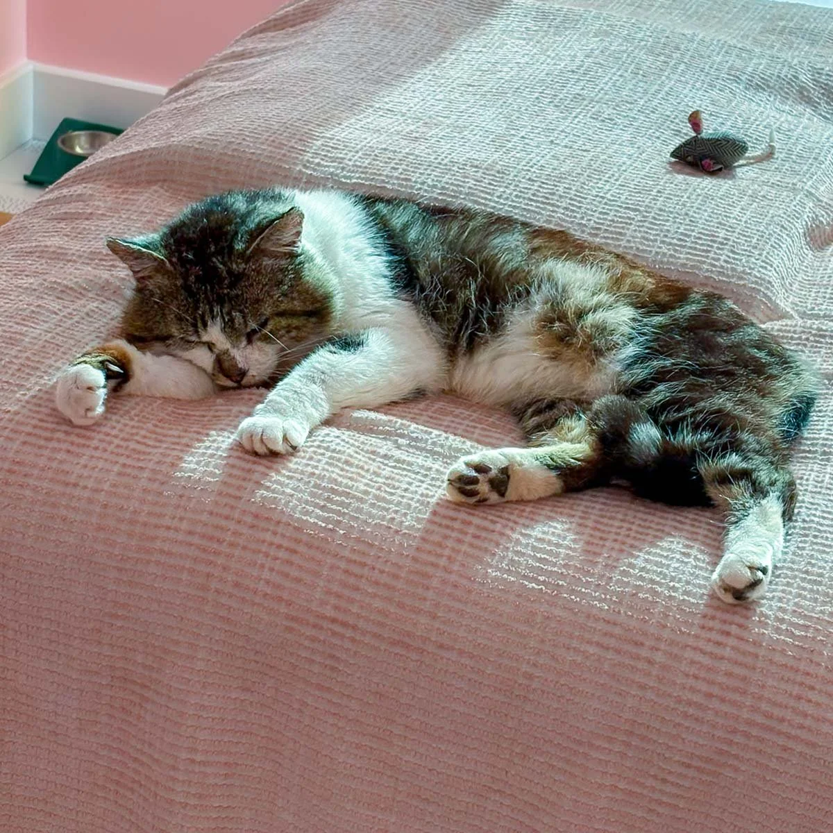 Gustav-26060301-P09-LR.jpg