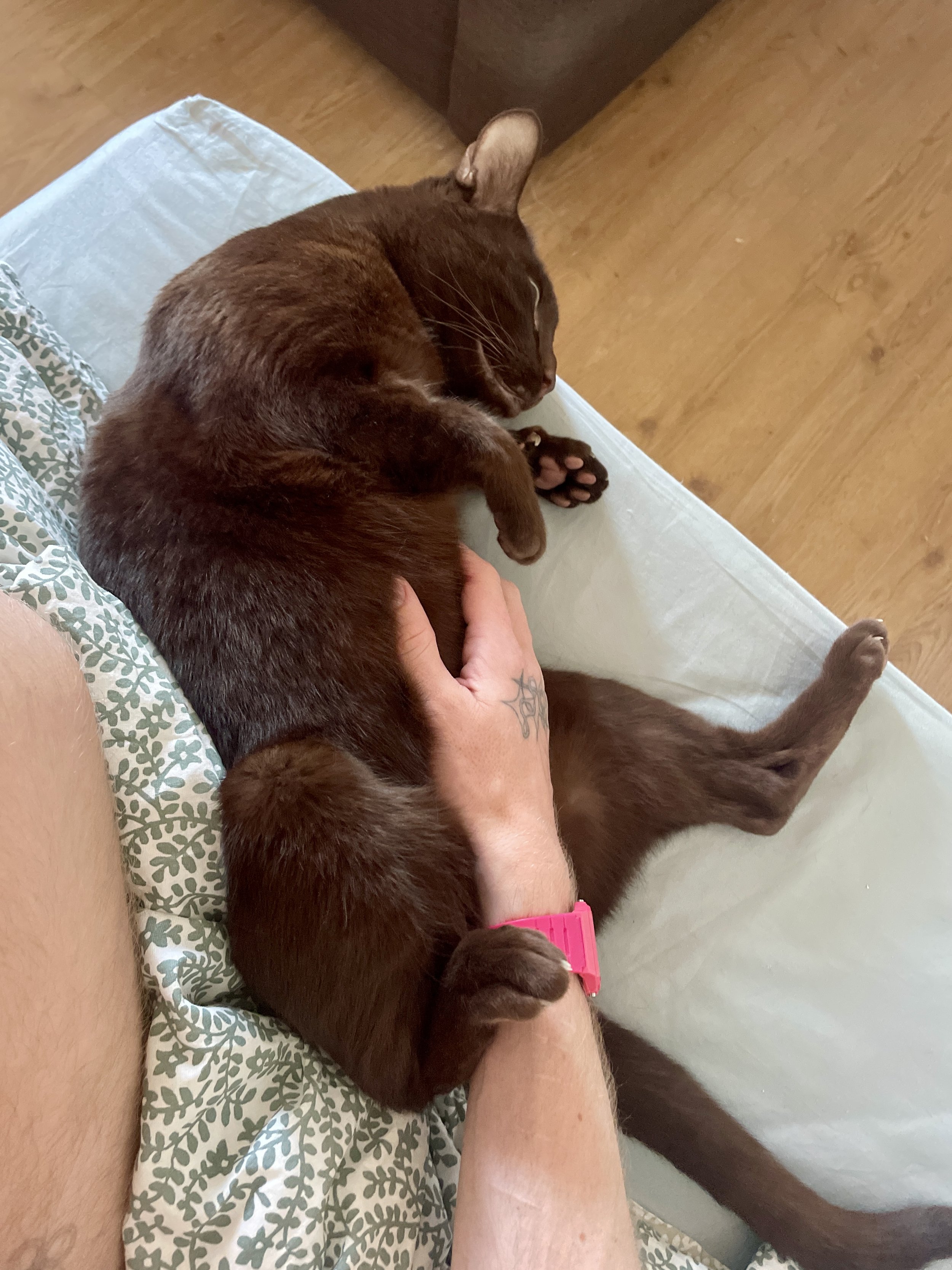 IMG_0503.jpeg