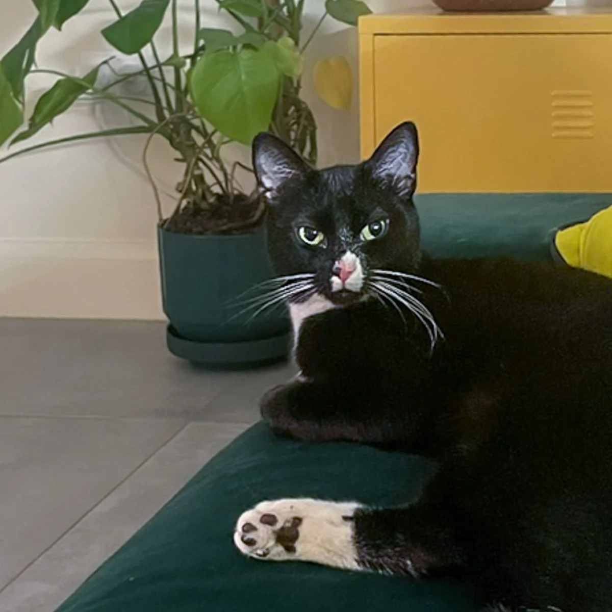 Molly-26050802-P06-LR.jpg