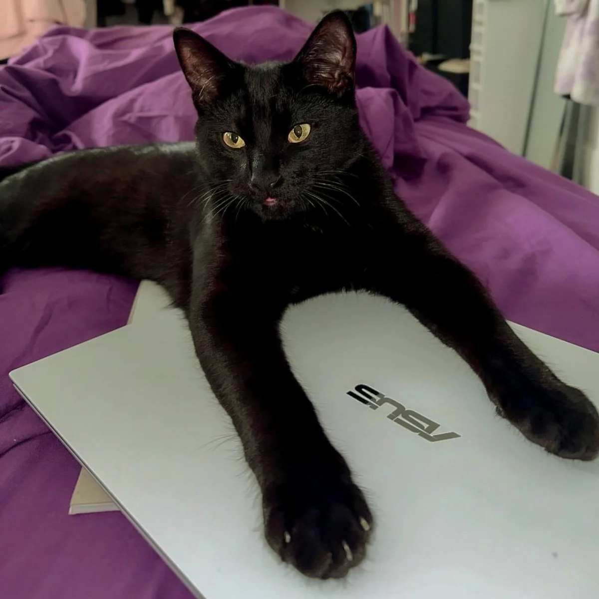 Onyx-26031601-P05-LR.jpg
