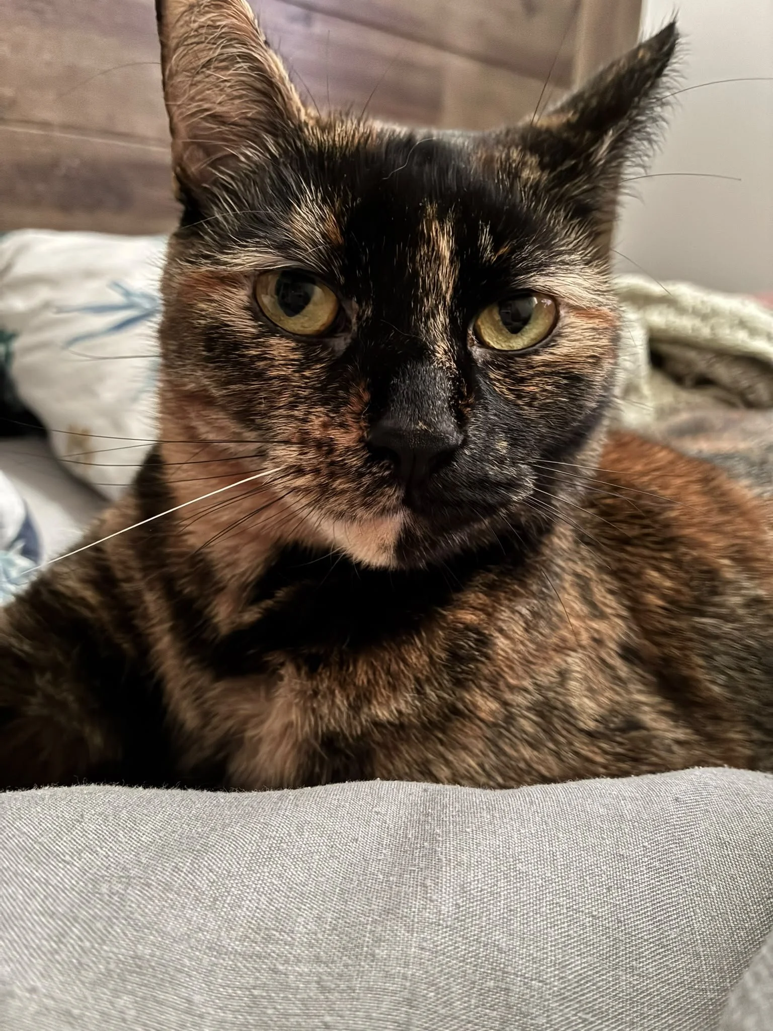 IMG_0486.jpeg