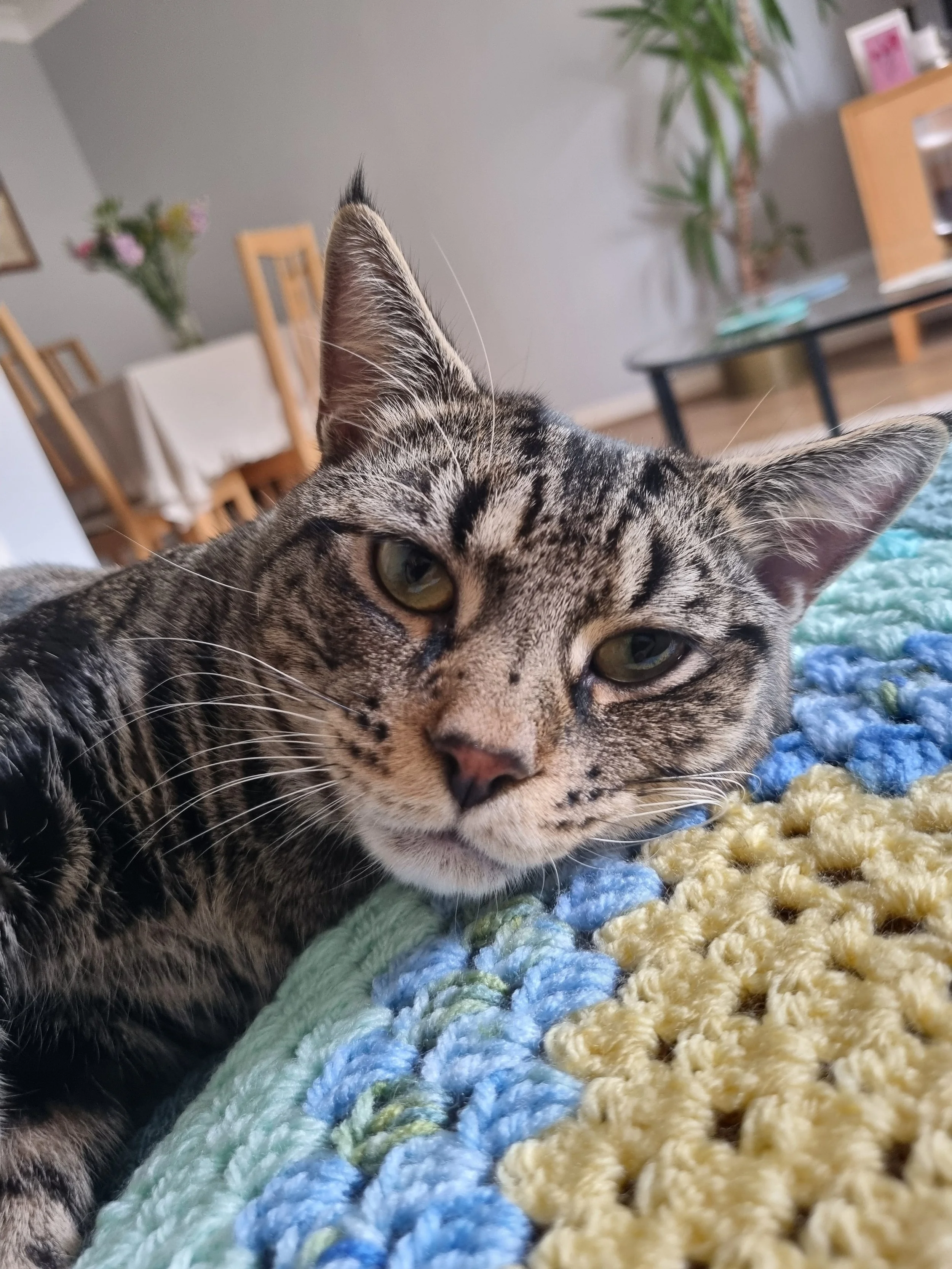 Basil photo.jpg