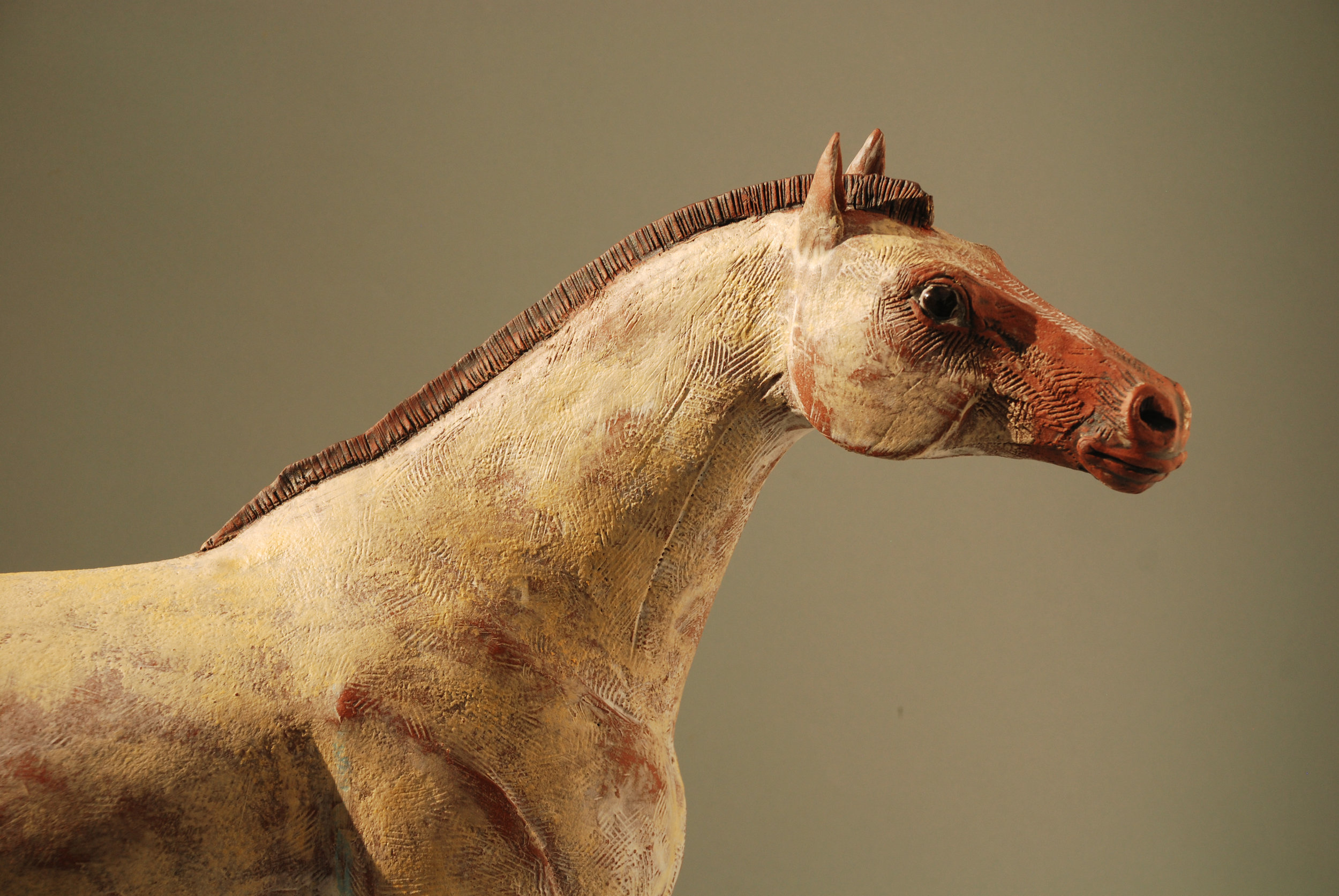 Horse 0901.jpg