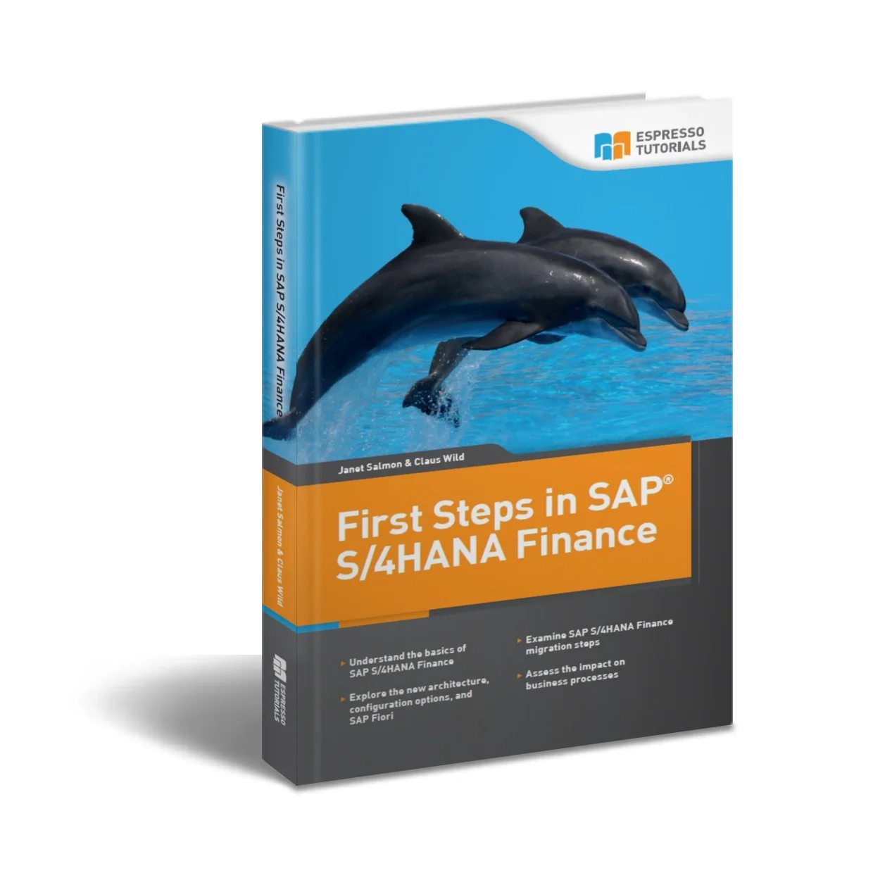 Excerpt from First Steps in SAP® S/4HANA Finance by: Janet Salmon and Claus Wild