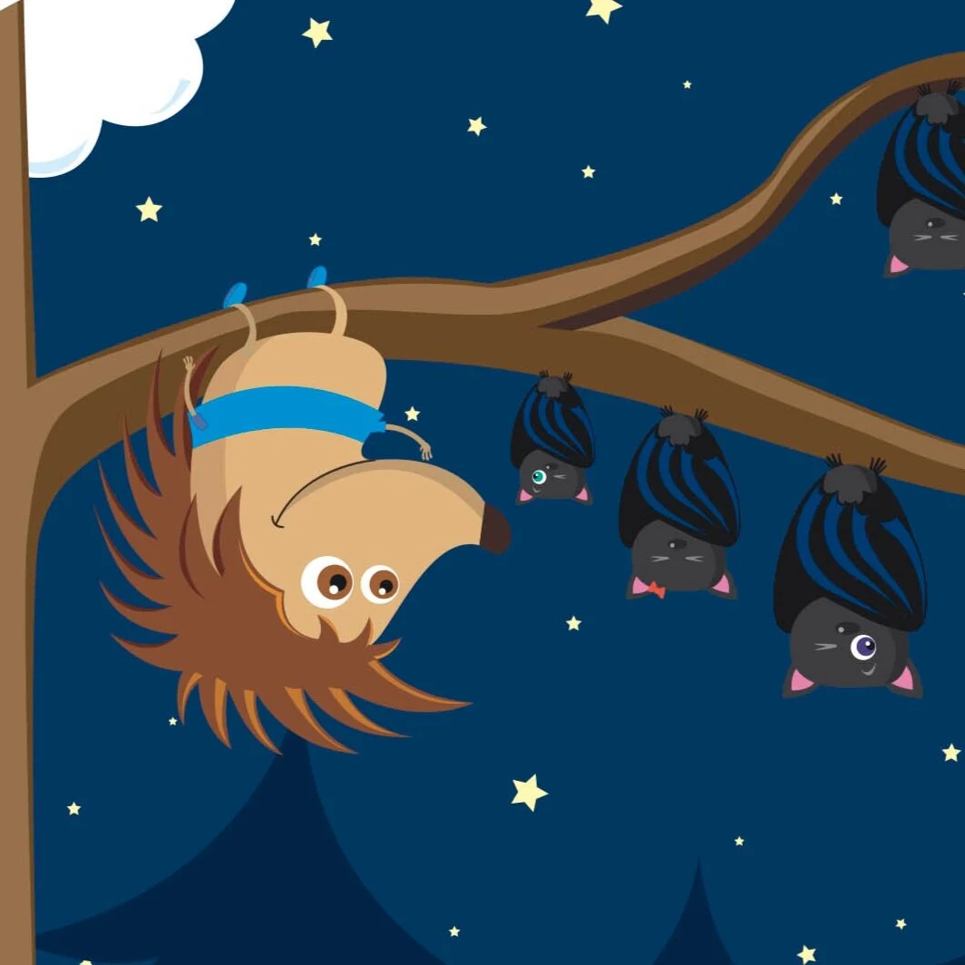 HERISSON-CHAUVE-SOURIS-1.jpg