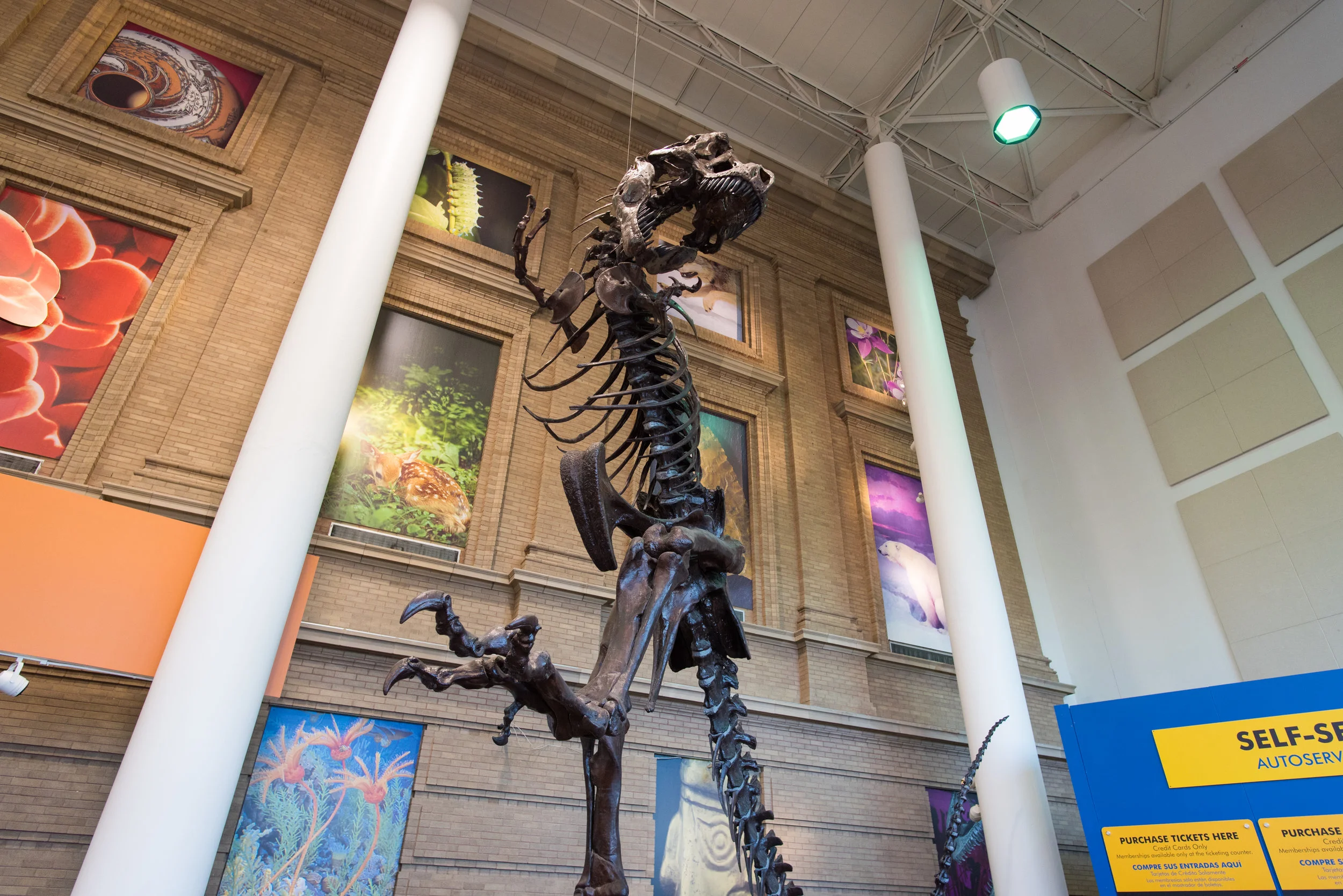 Denver-33.jpg