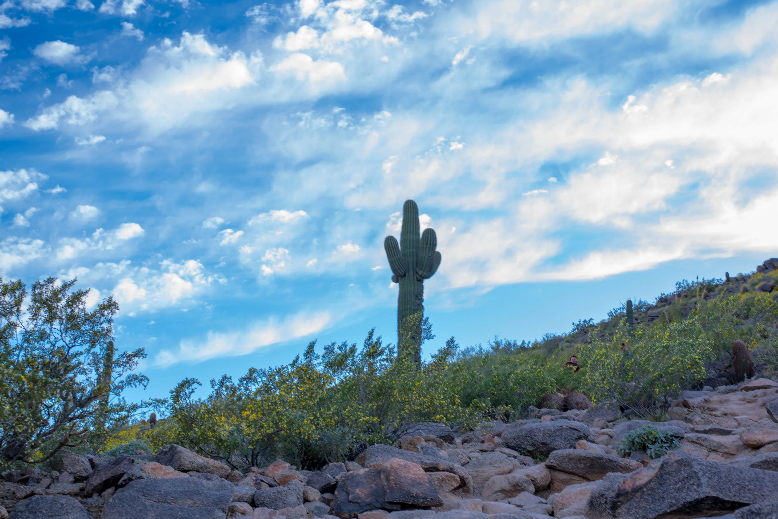 Camelback Mountain-11.jpg