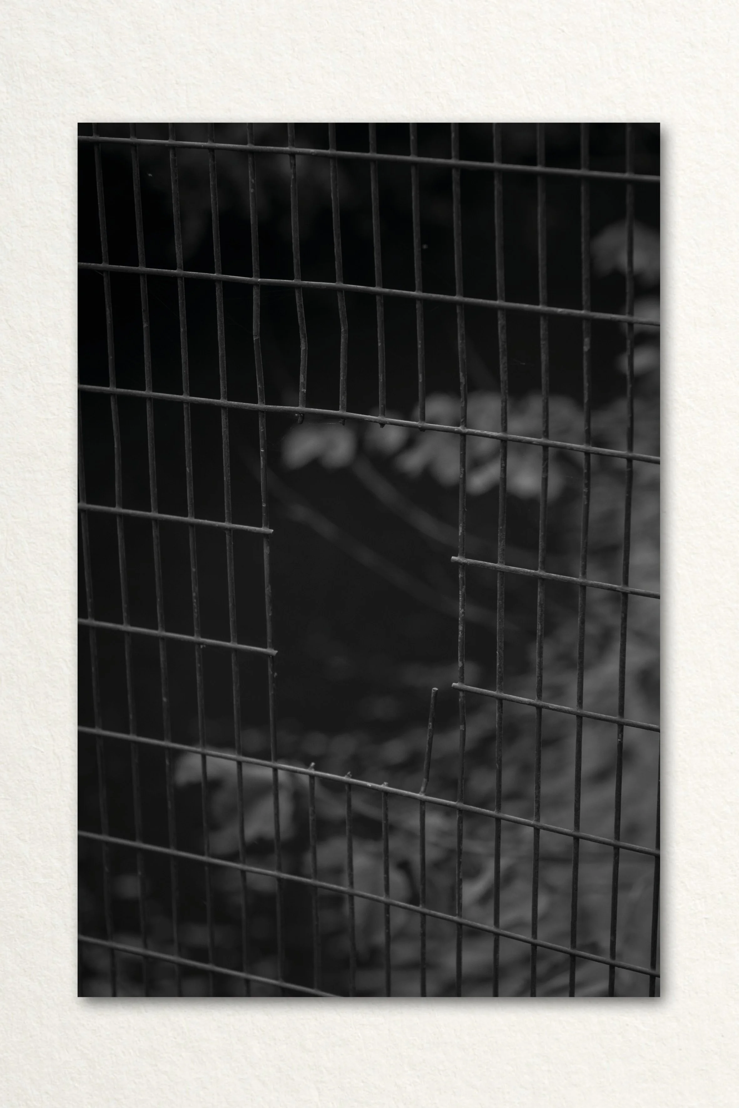 Searching Print25.jpg