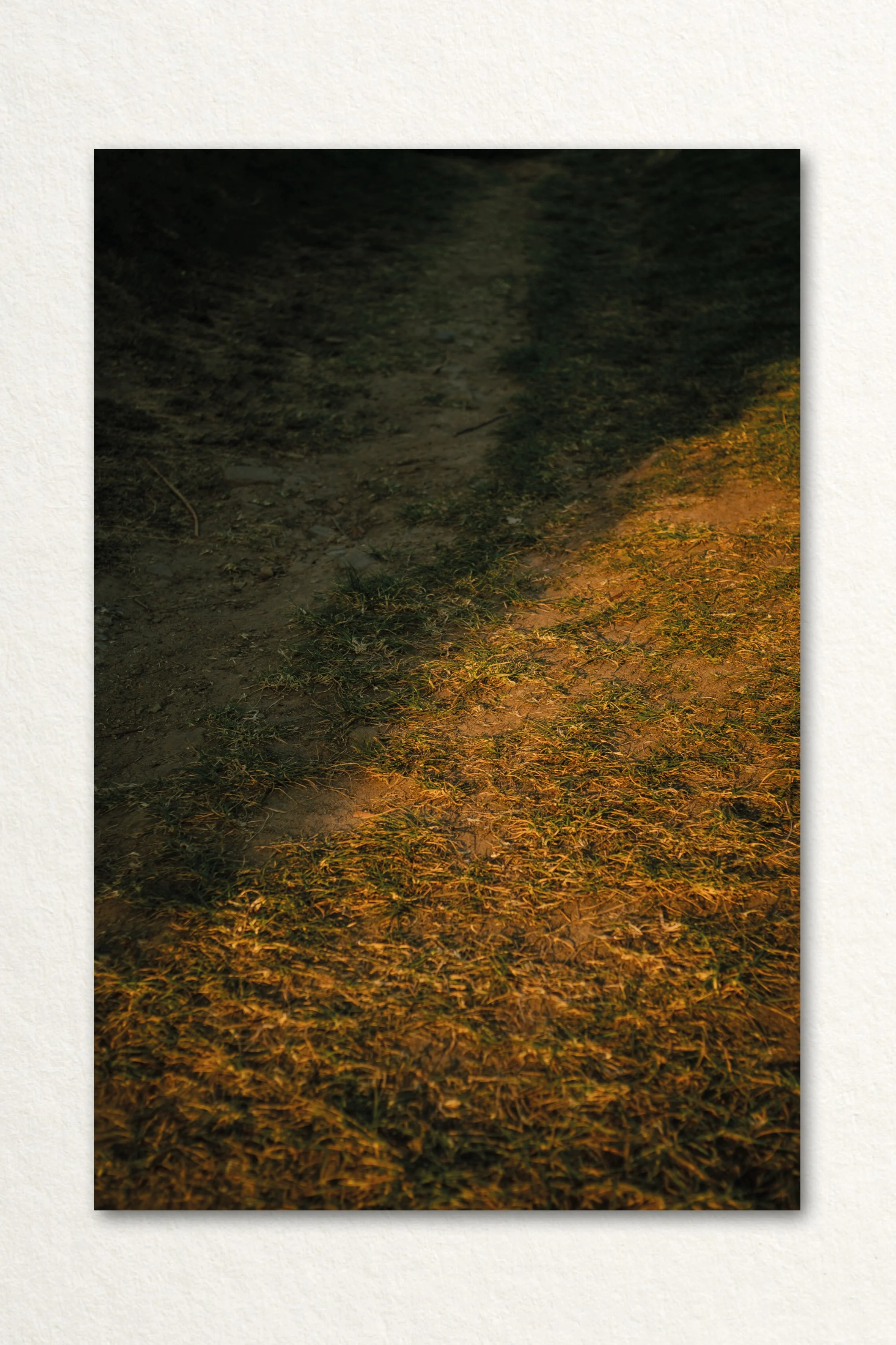 Searching Print4.jpg