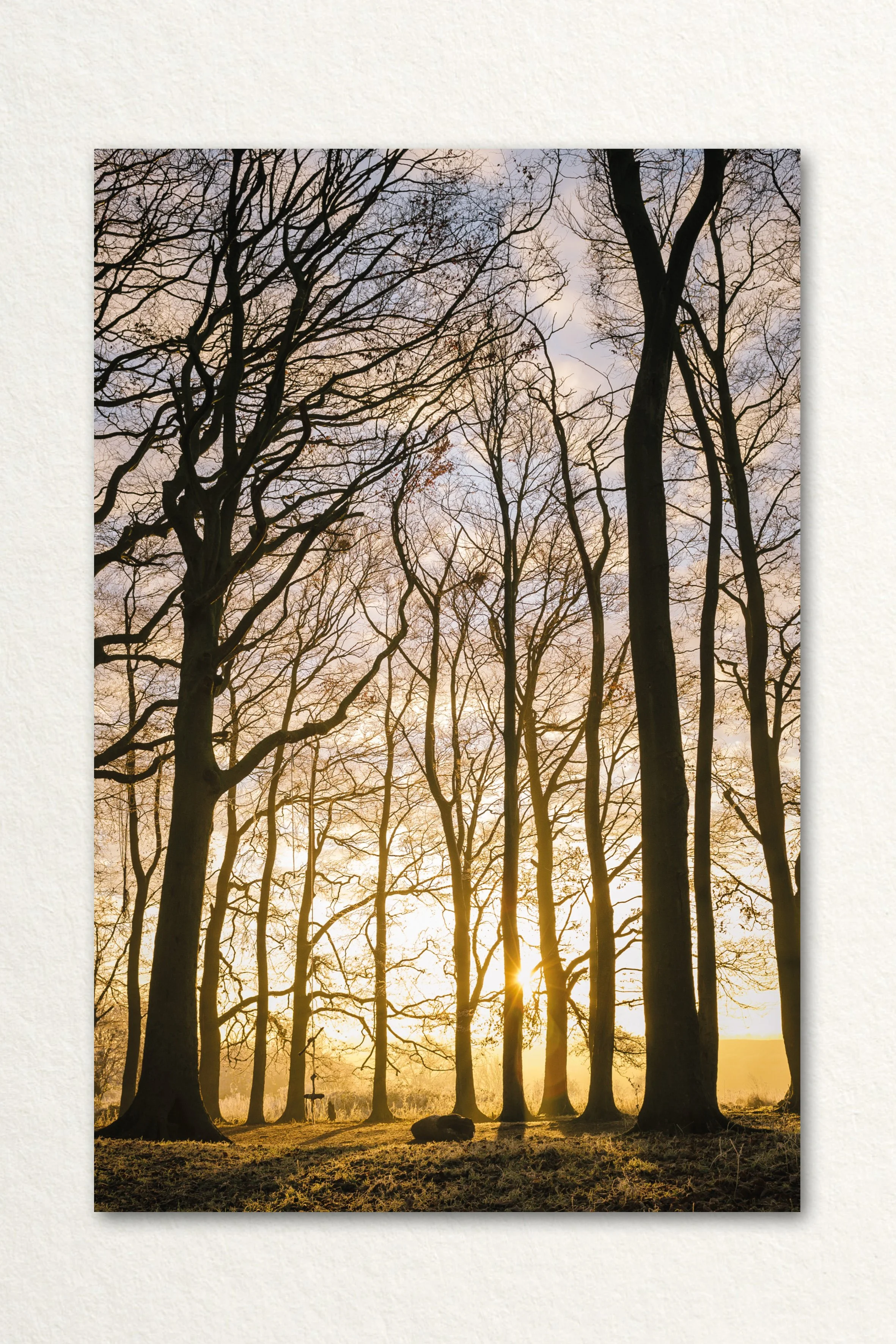 Searching Print31.jpg