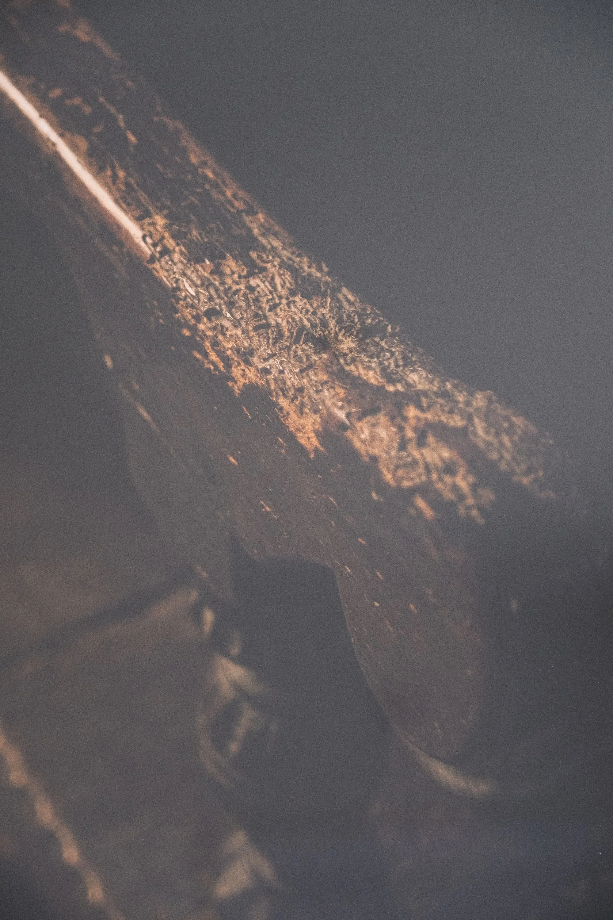 DSCF3513.jpg