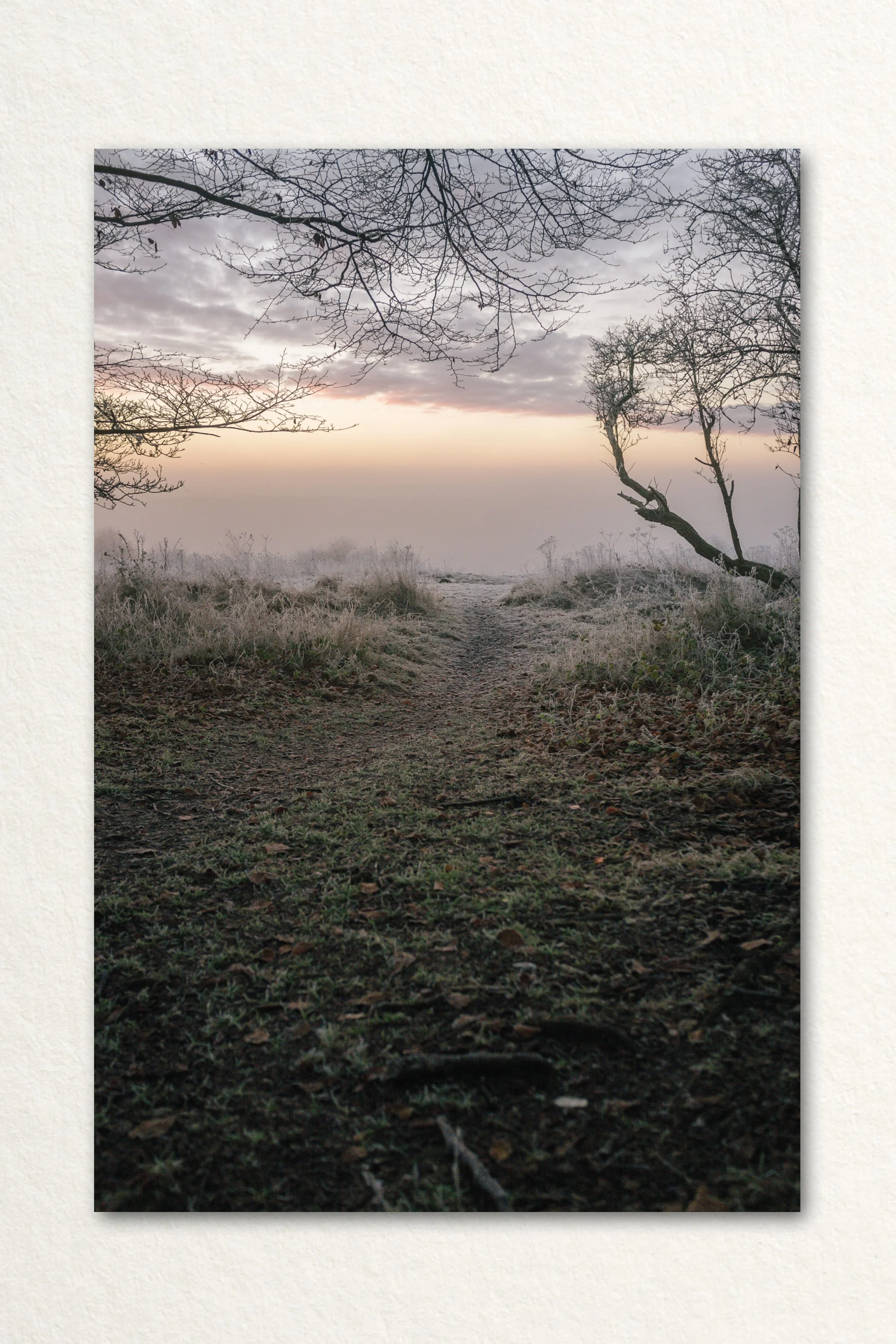 Searching Print6.jpg