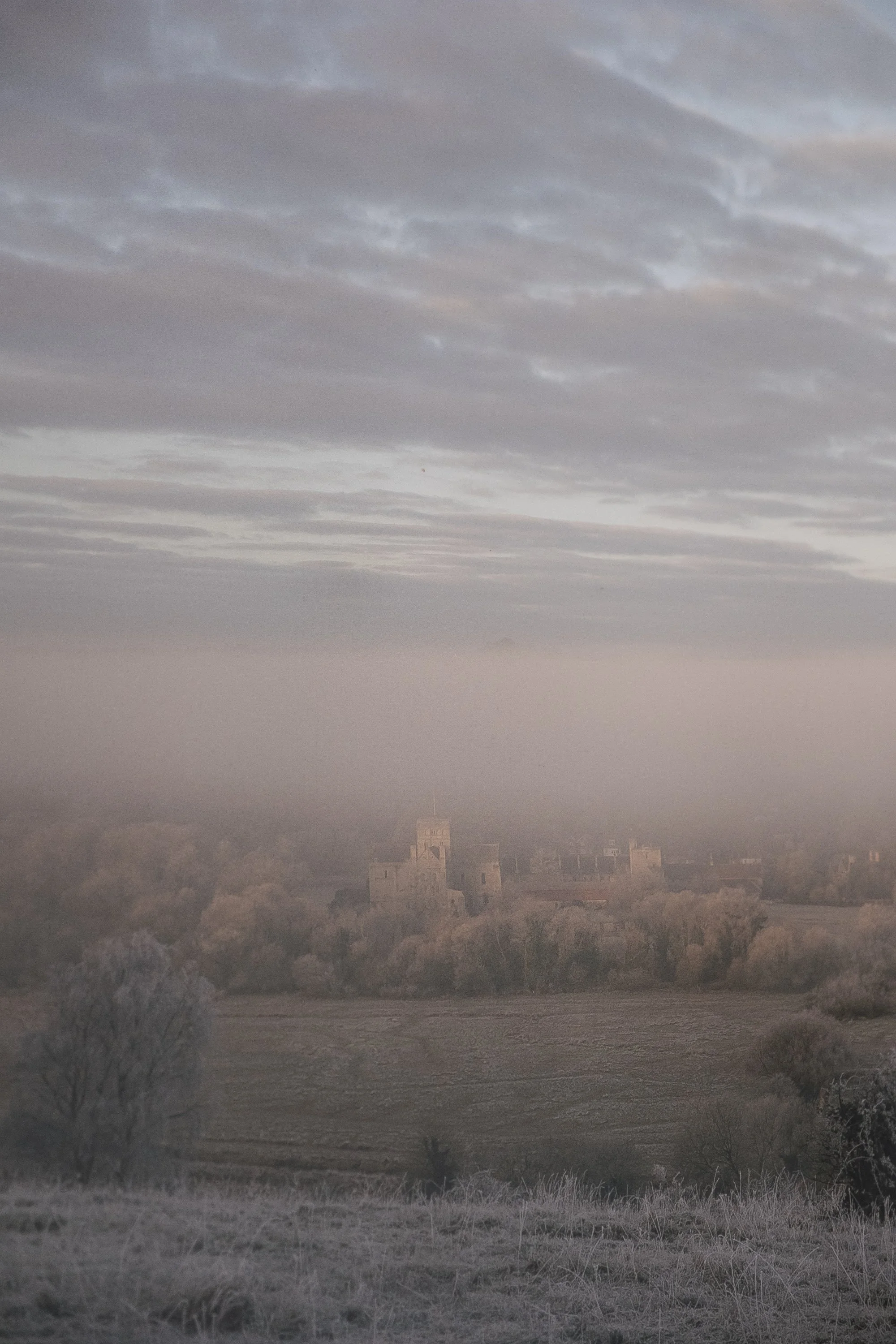 DSCF3557.jpg