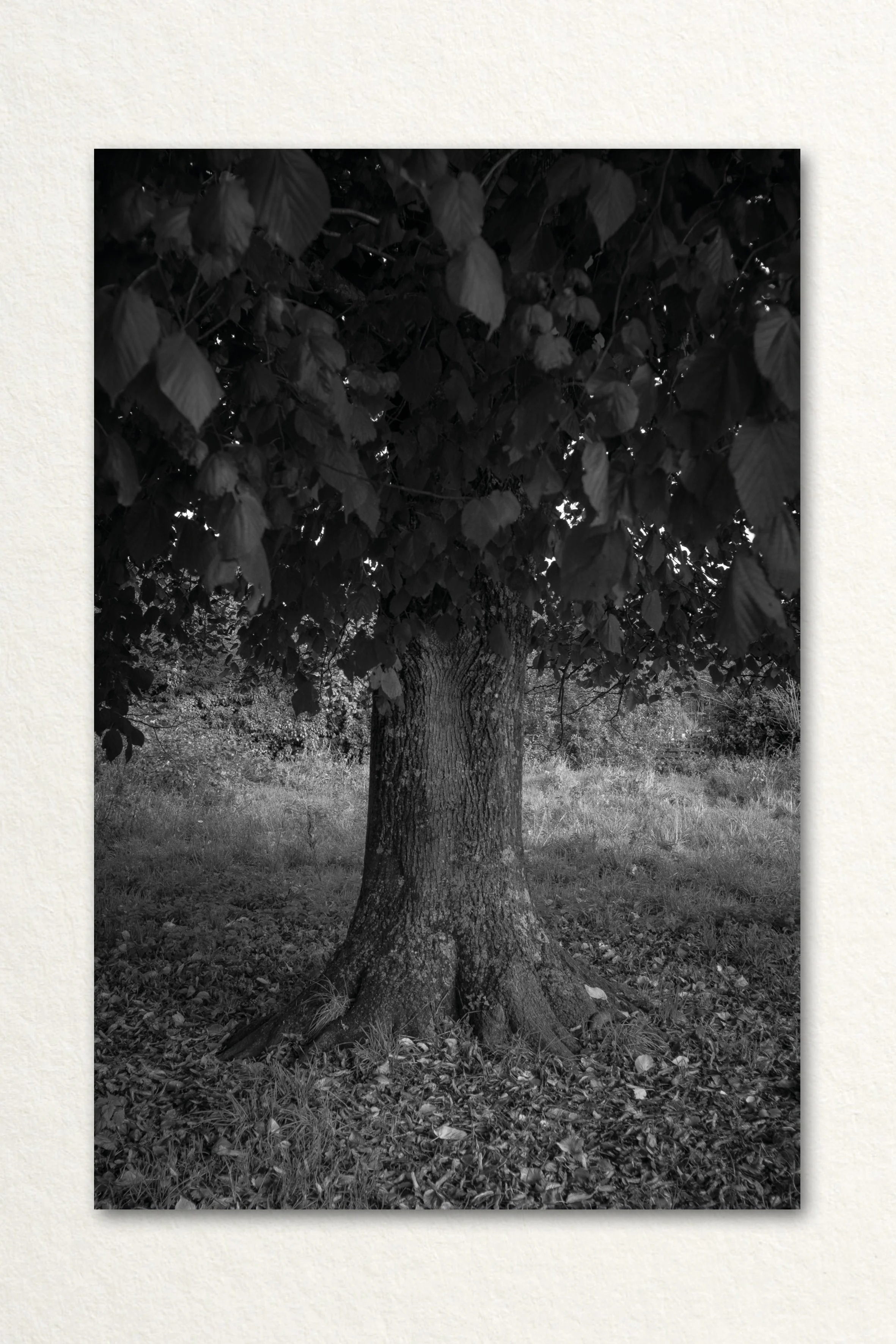 Searching Print7.jpg